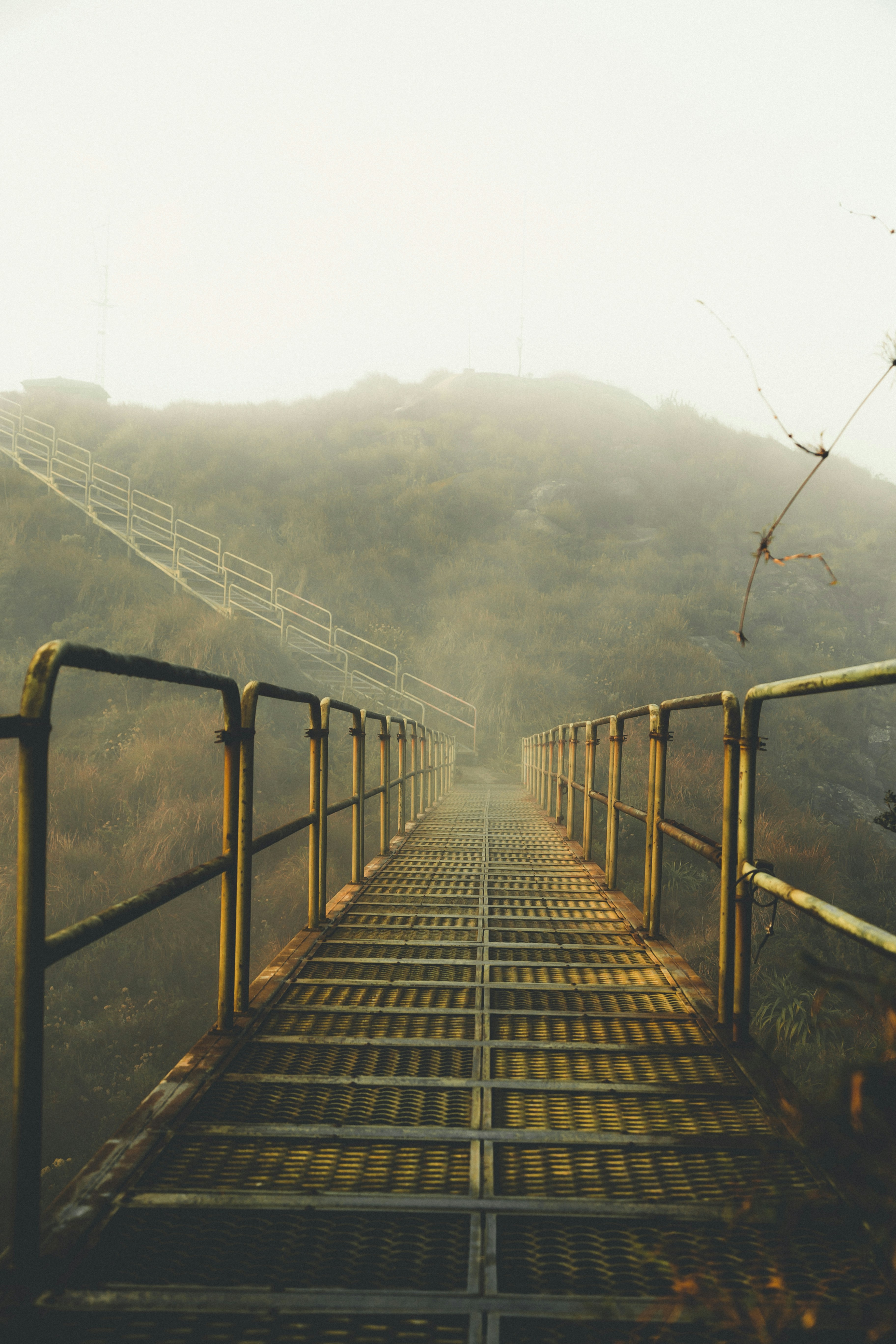 Nublado Pictures Download Free Images on Unsplash