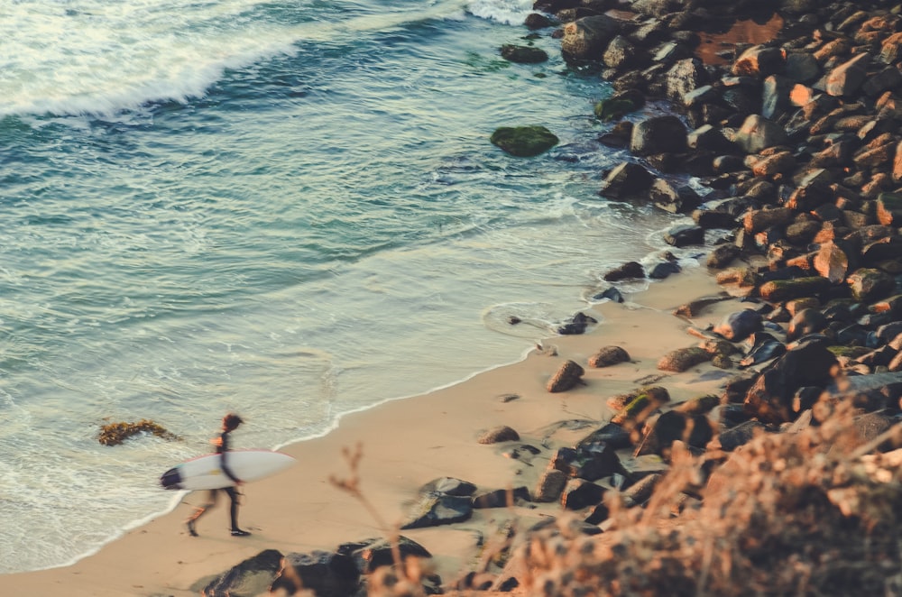 people on beach during daytime