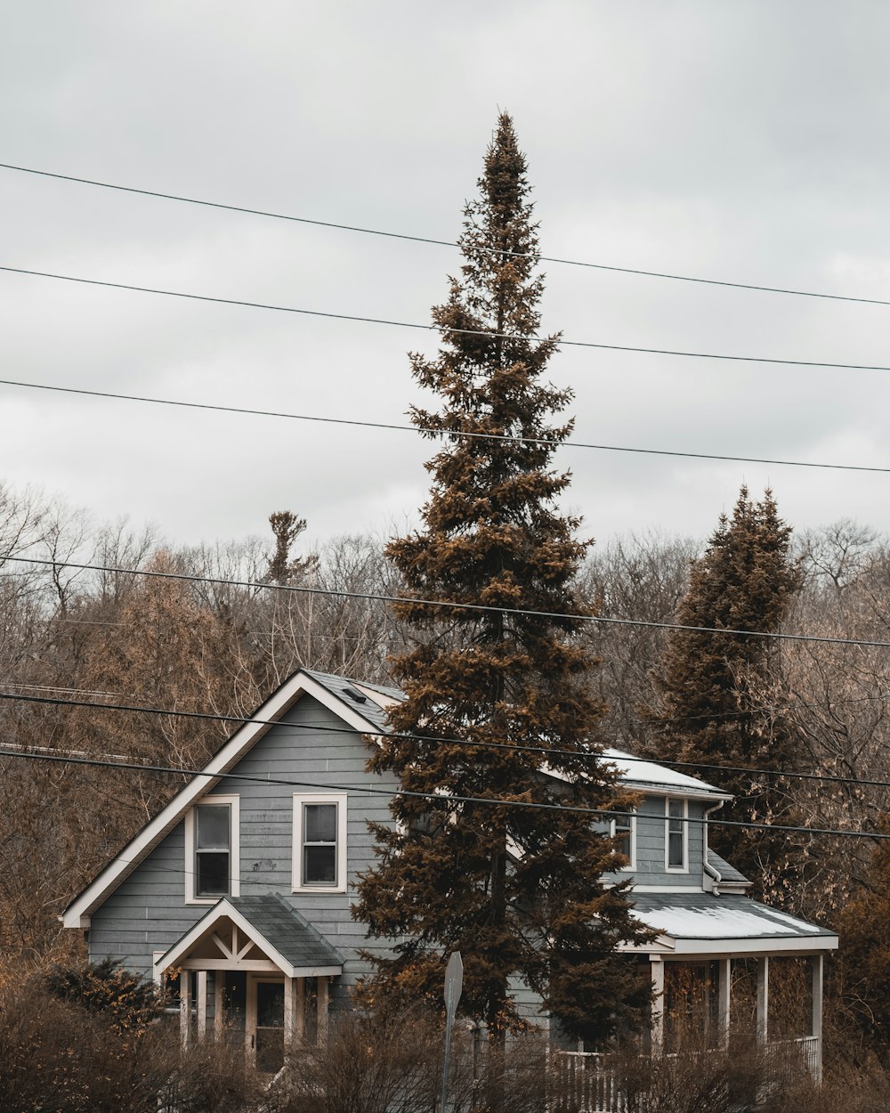 white and brown wooden house near green tree under white sky during daytime