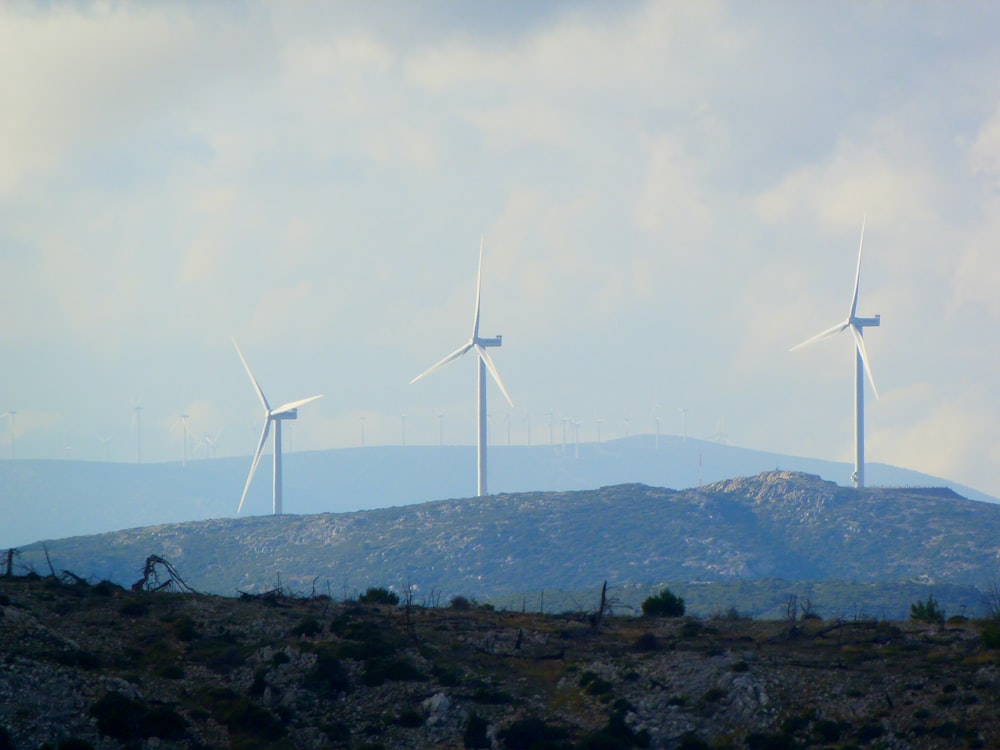 Weiße Windkraftanlagen auf grünem Rasen tagsüber
