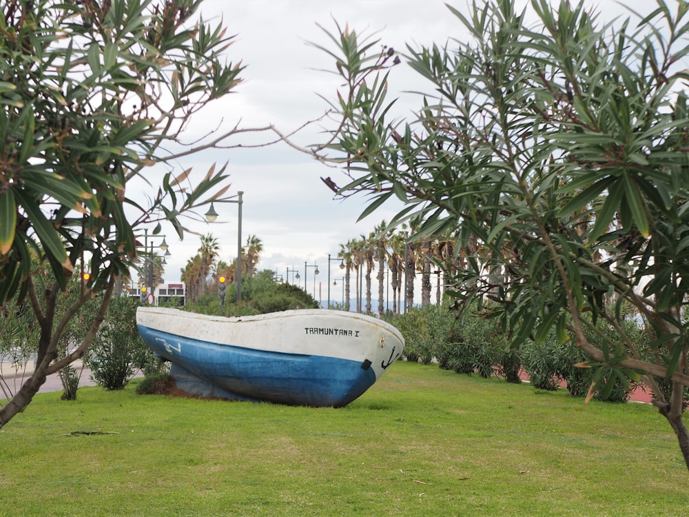 blue and white boat on green grass field near green palm trees during daytime
