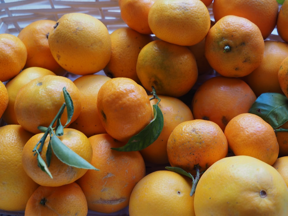 orange fruits on stainless steel tray
