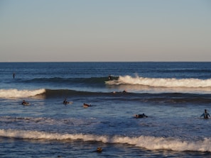 A group of students catching waves during a morning surf session