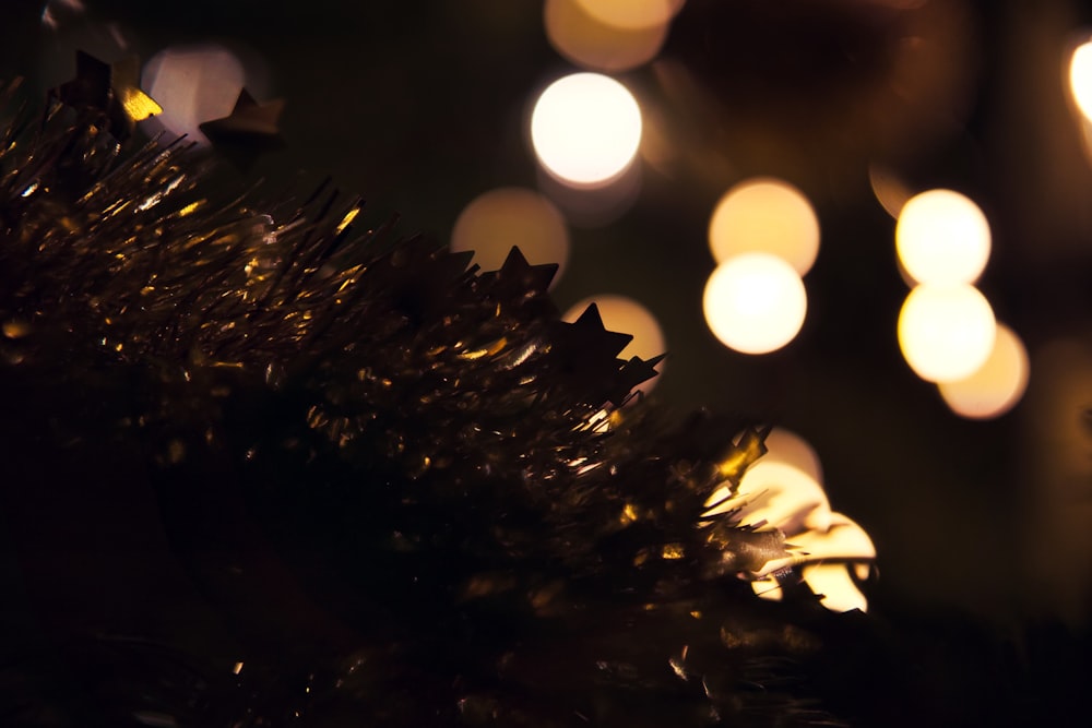 green christmas tree with yellow lights