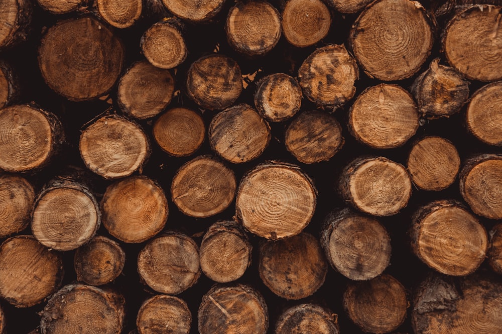 brown and black wood logs