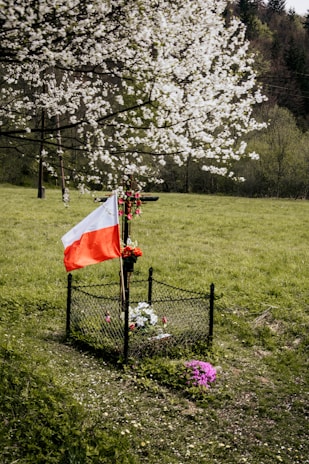 A small memorial site is located in a grassy field under a blossoming tree. The site is enclosed with a black fence and adorned with a cross surrounded by red and white flowers. A national flag is placed next to the cross. The background features more trees and a serene landscape.