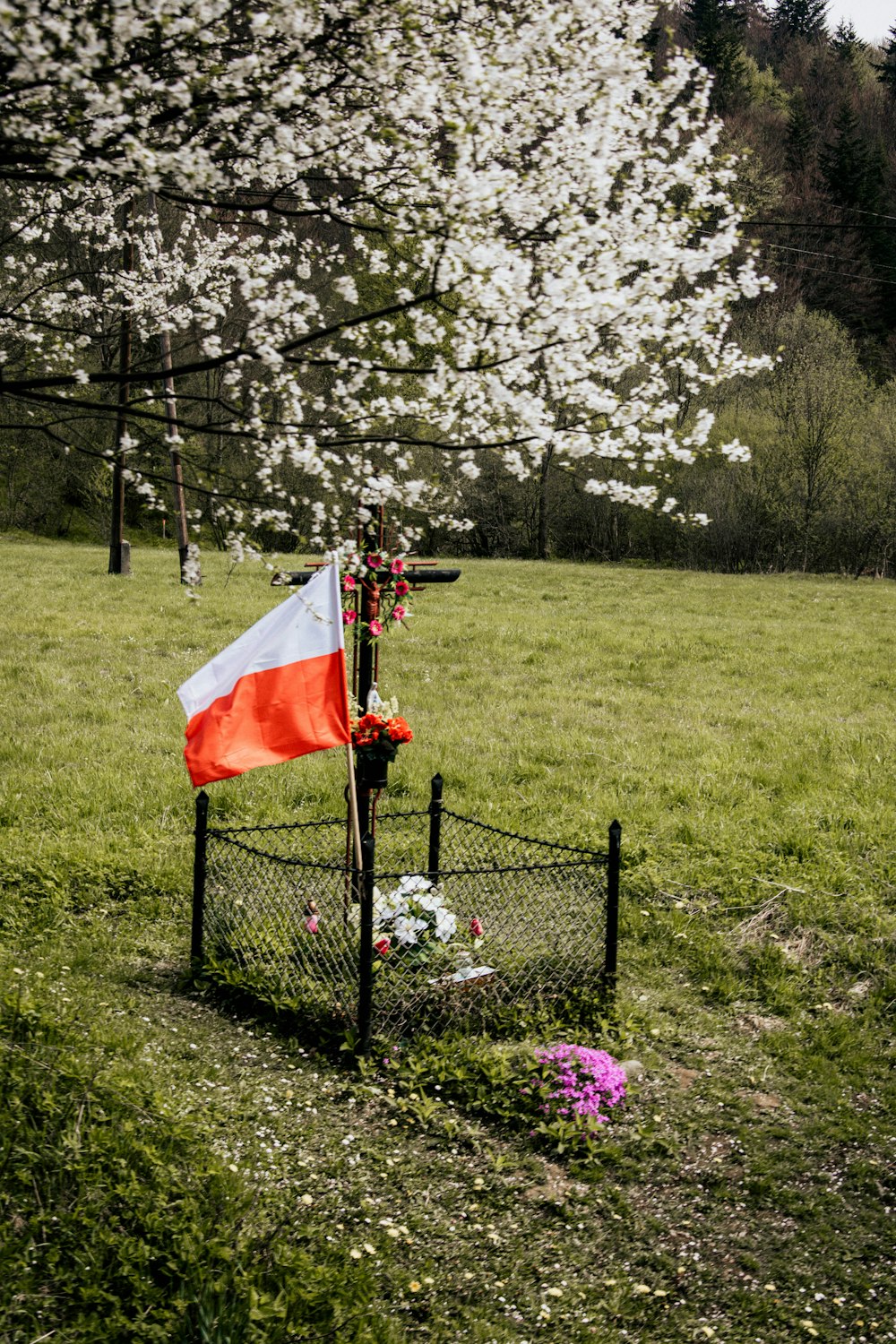 red and white flag on black metal fence near green grass field during daytime