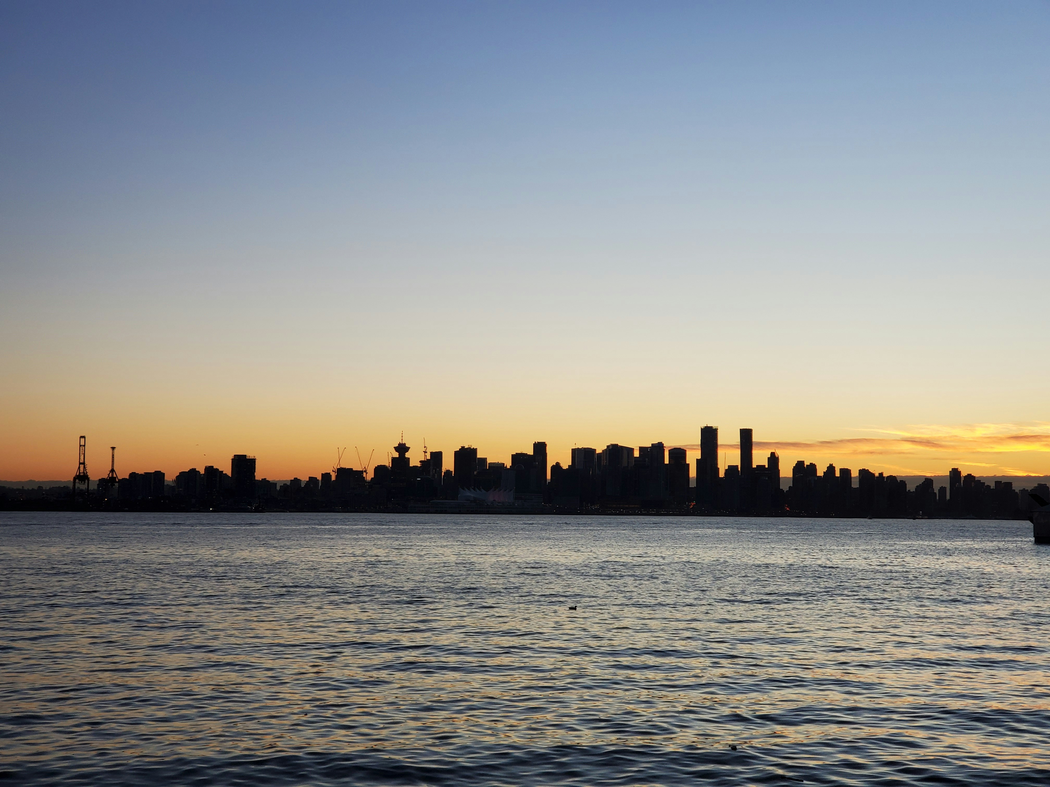 Photo by tessaherondalecarstairs