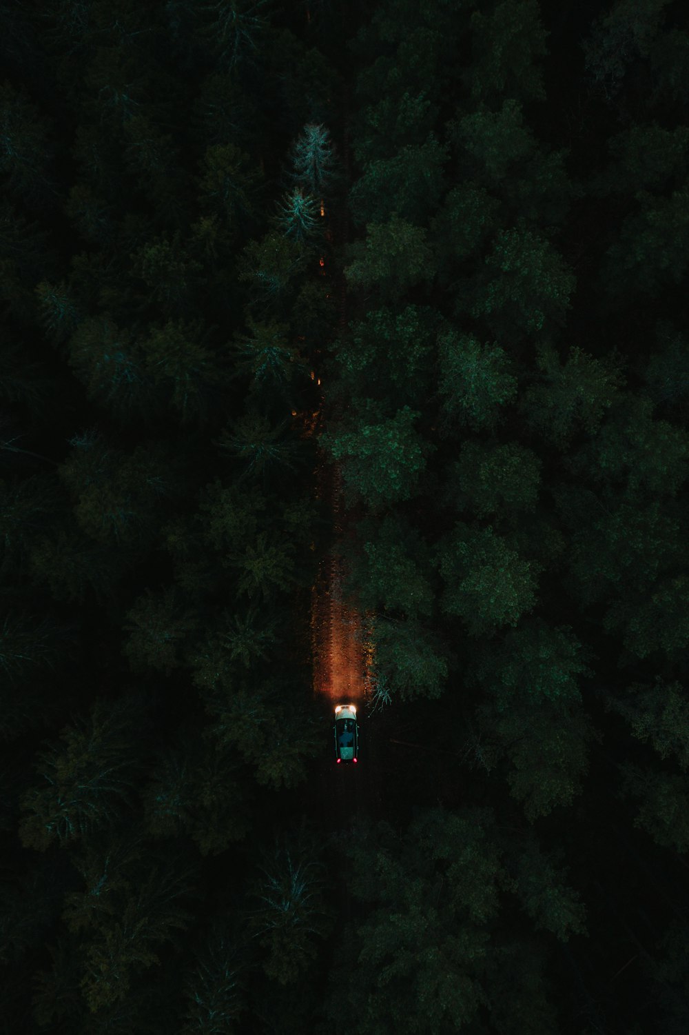 red and black tower surrounded by green trees