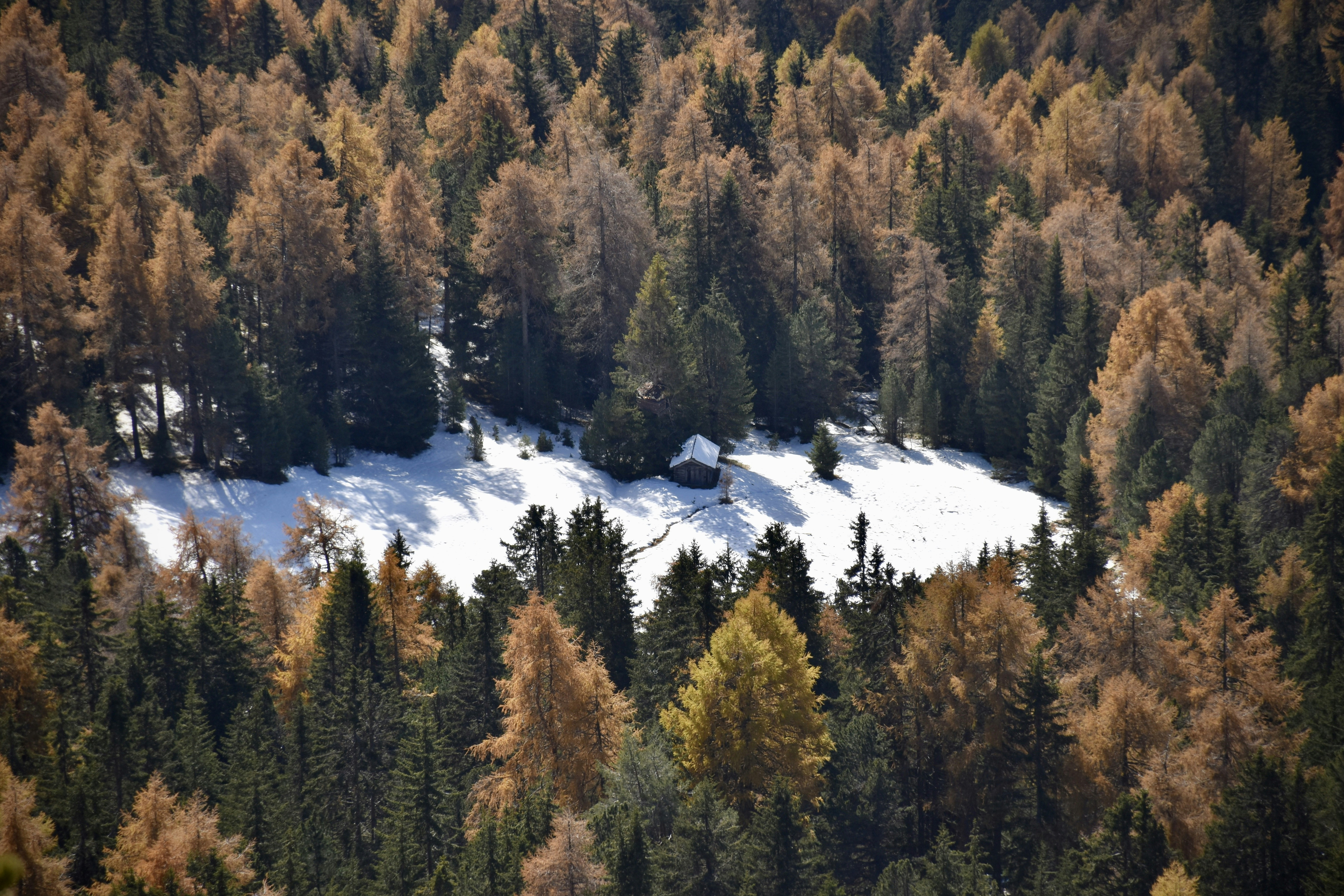 Photo by arnosenoner