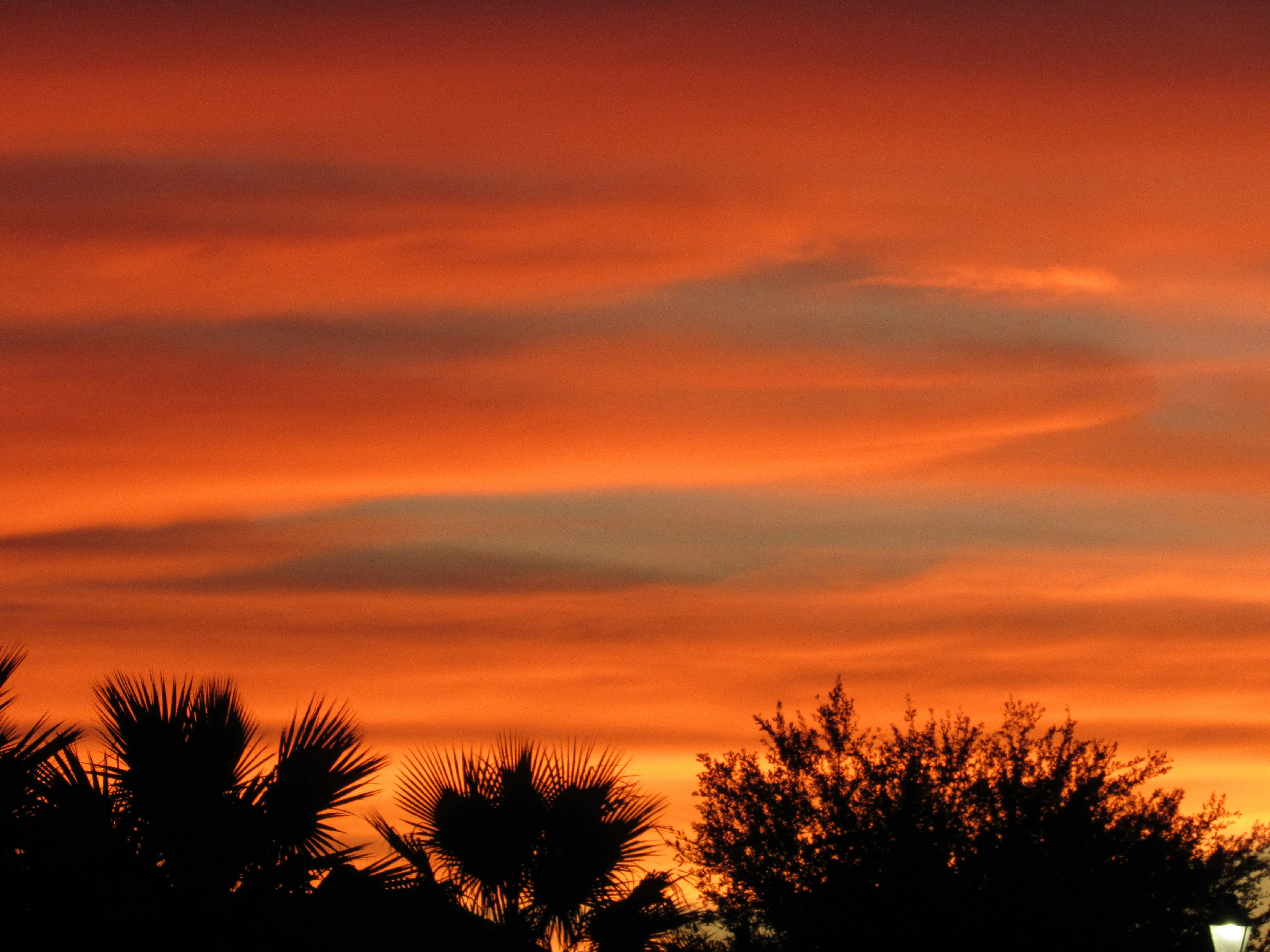 Photo by photosamofficial