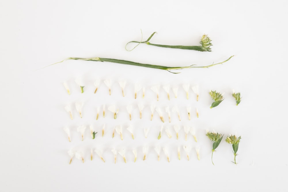 white flowers on white textile