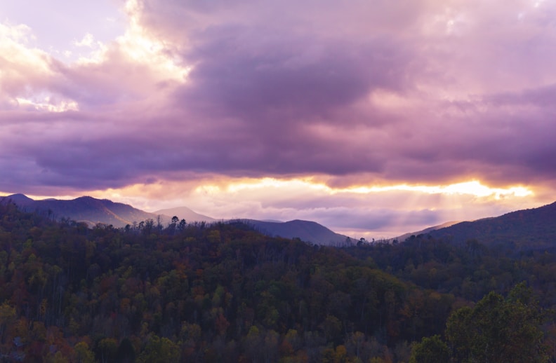 green trees on mountain under cloudy sky during daytime