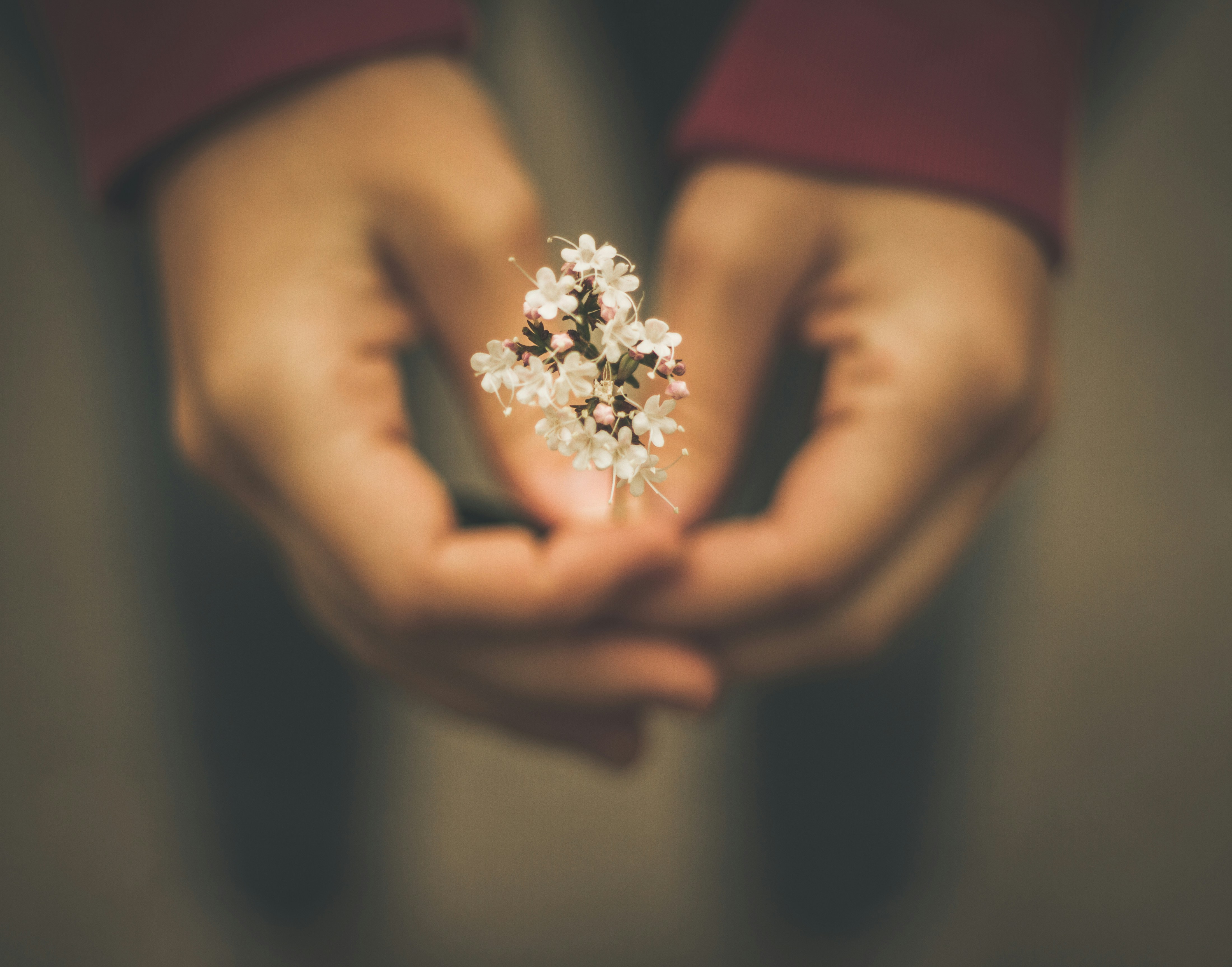 Photo by capturelight