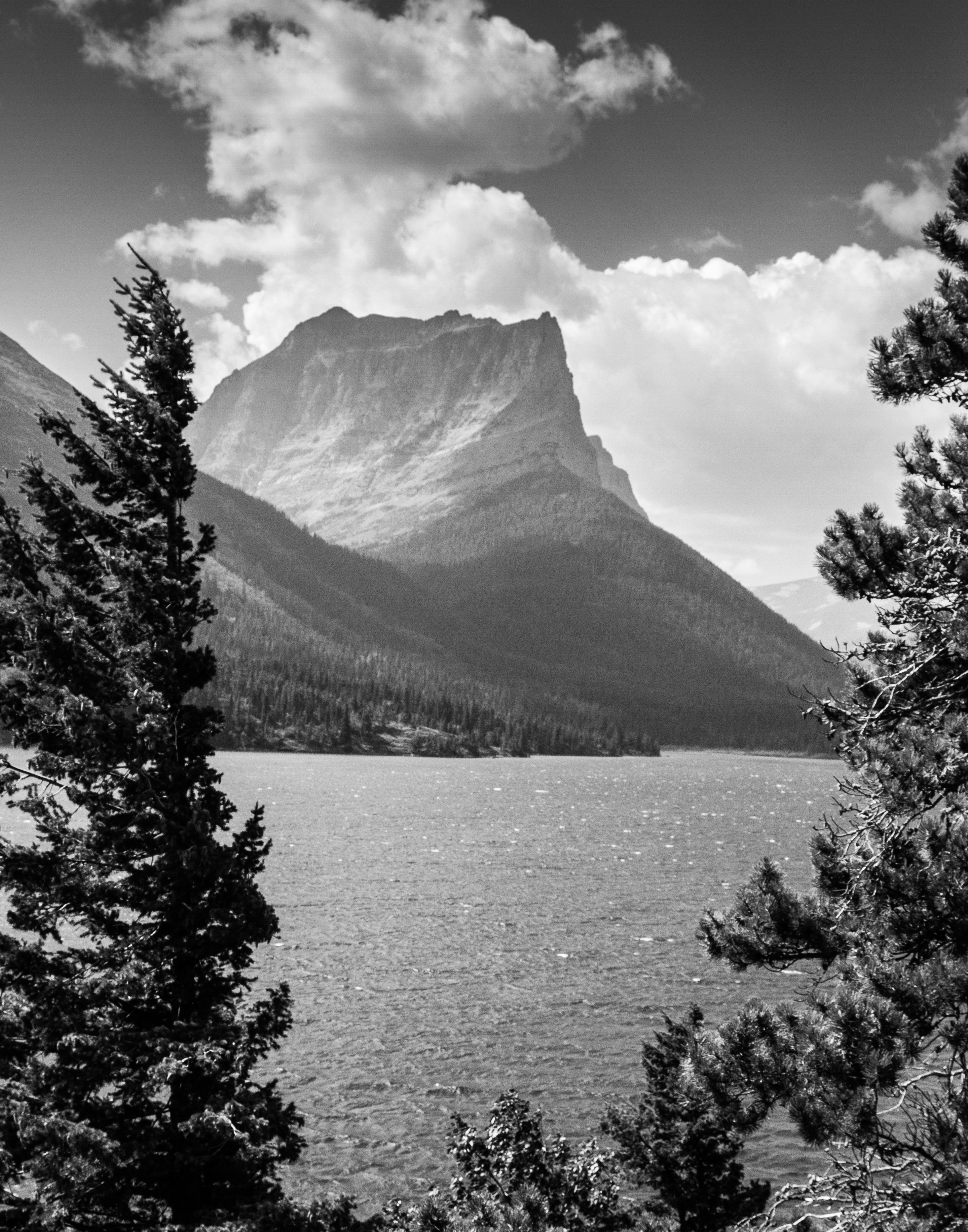 Photo by capturelight