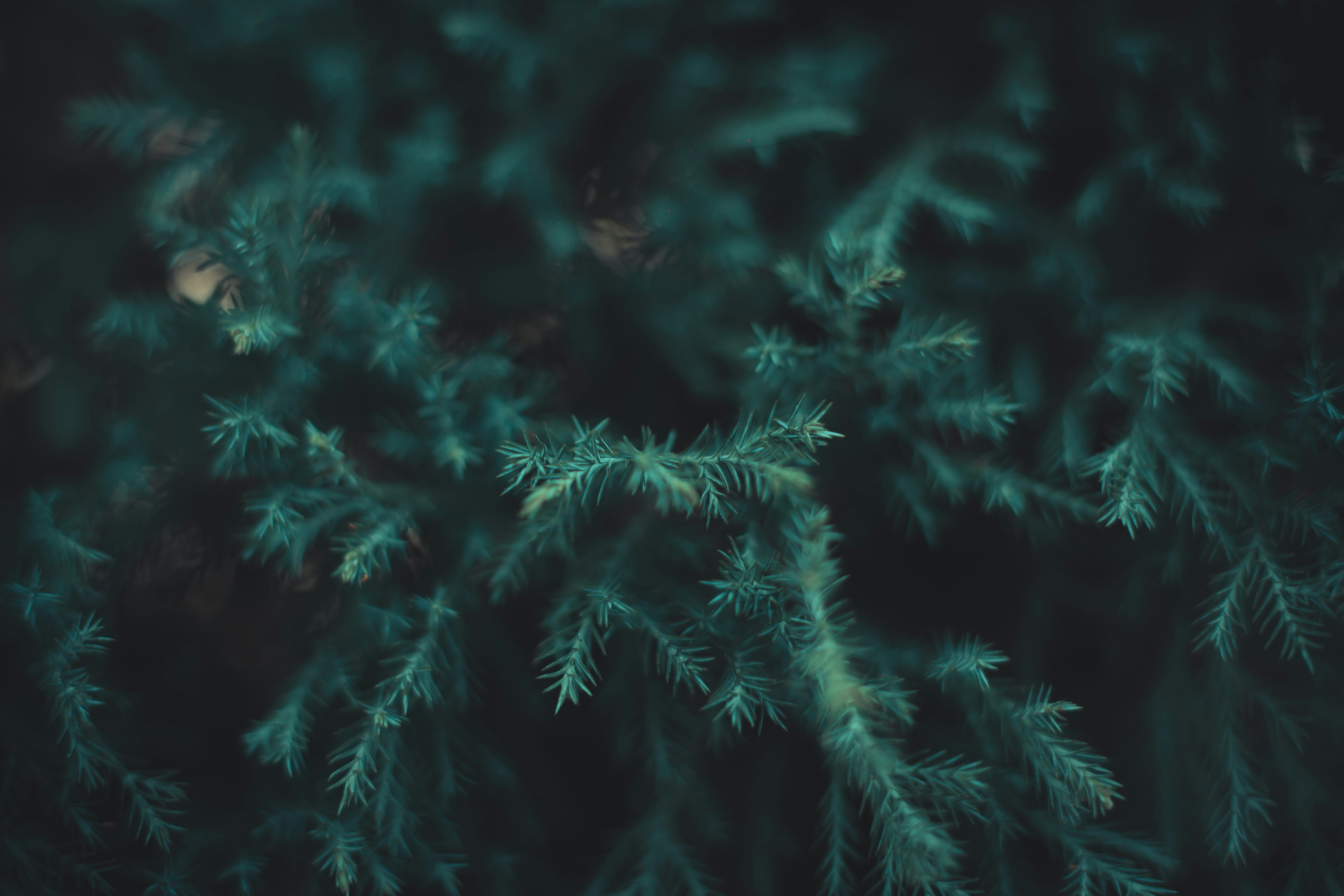 Photo by viditgoswami