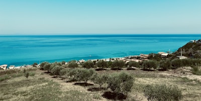 A panoramic view of a coastal property.