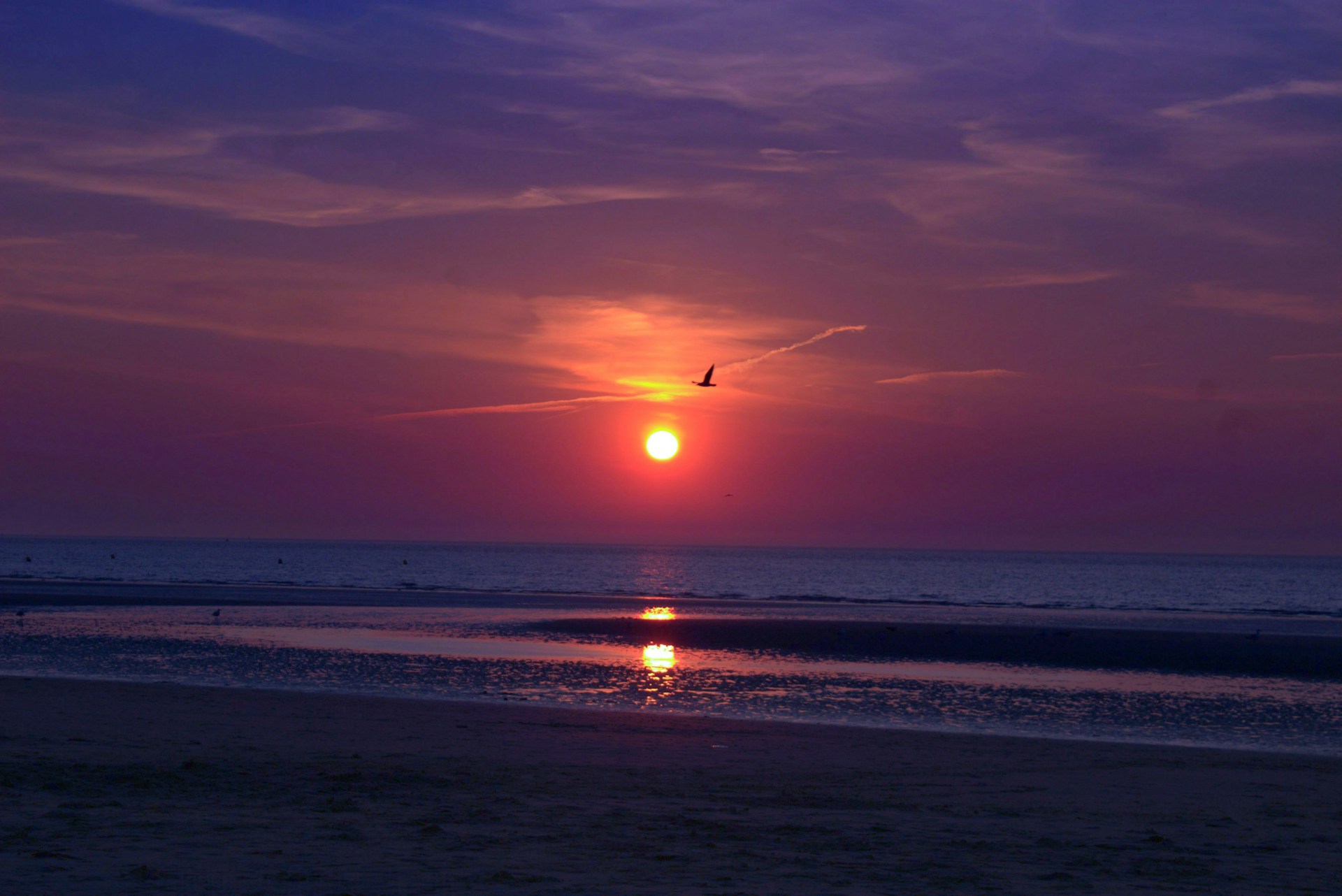 body of water during sunset