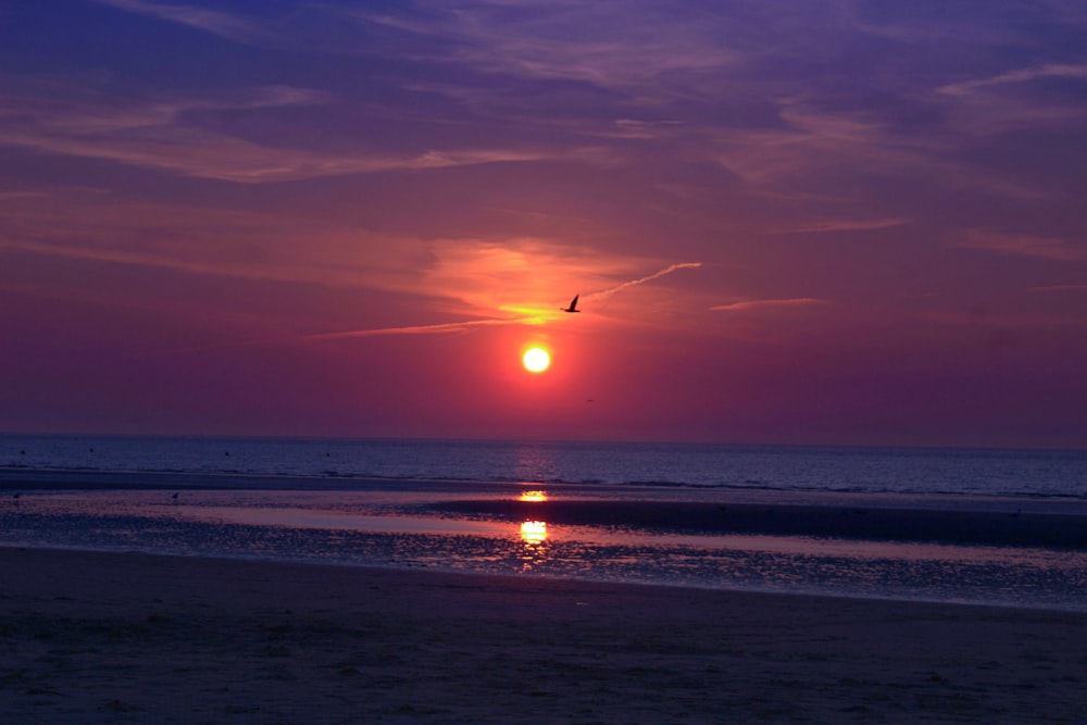 body of water during sunset