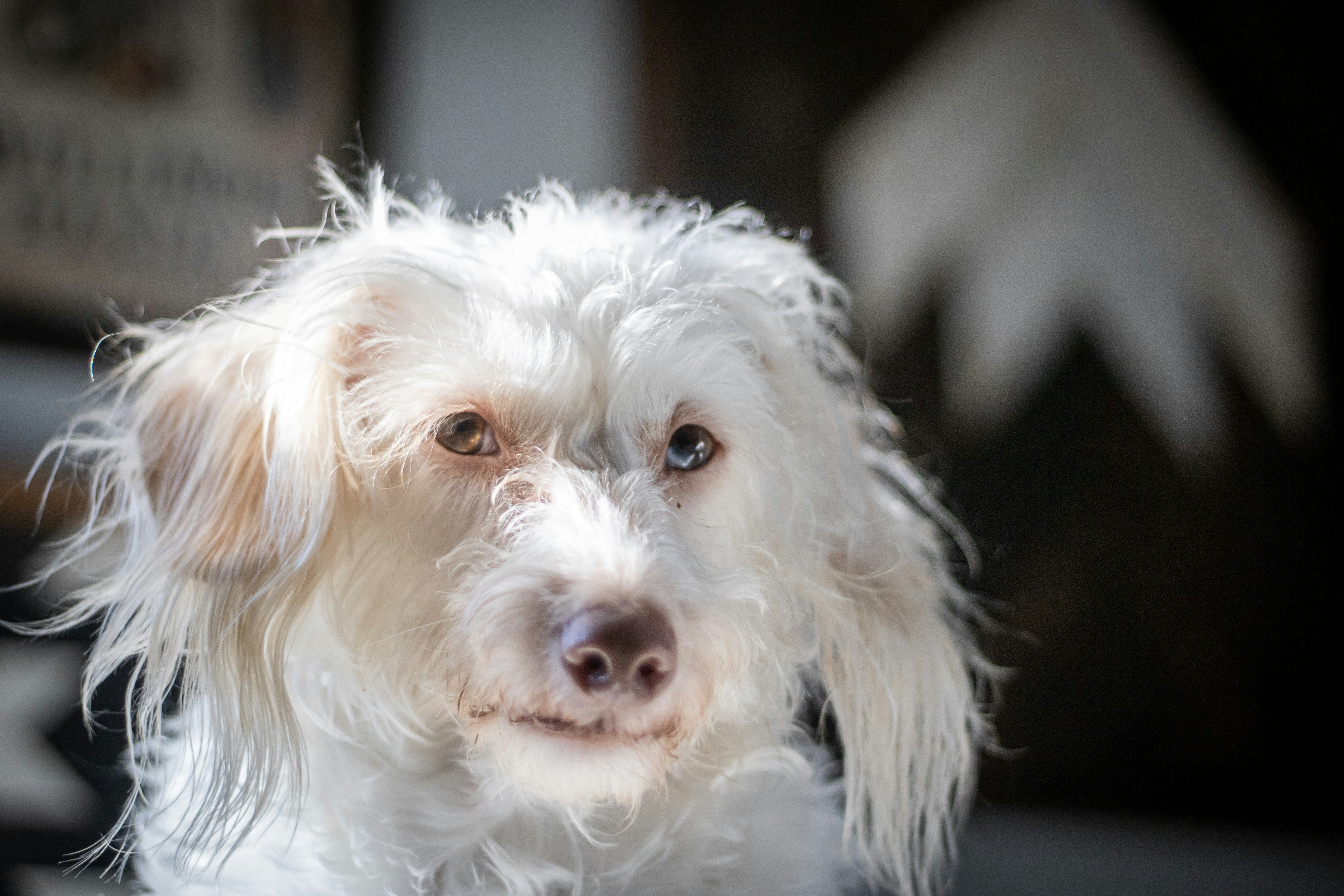 Photo by karleeleclair