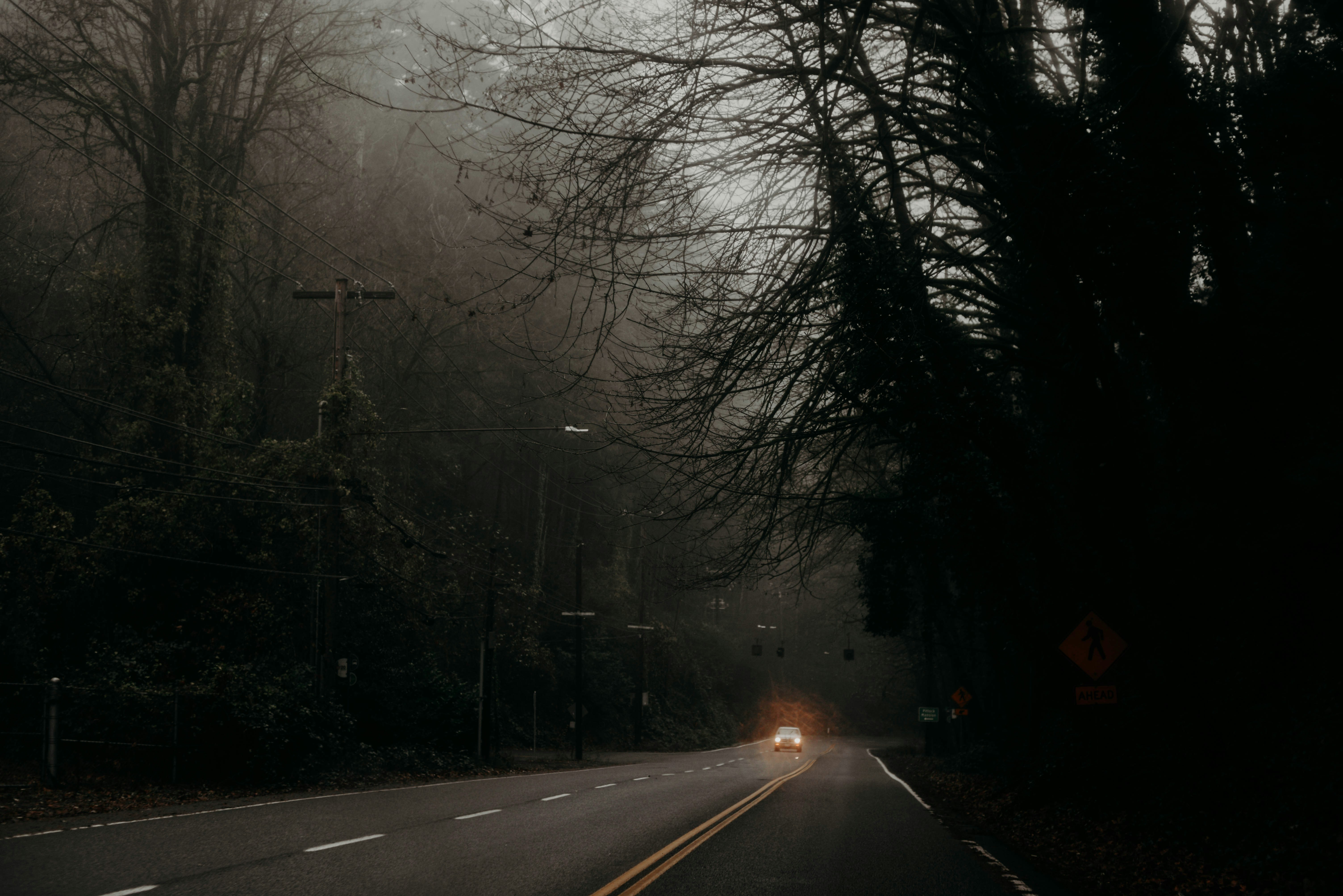 Photo by lorencutler