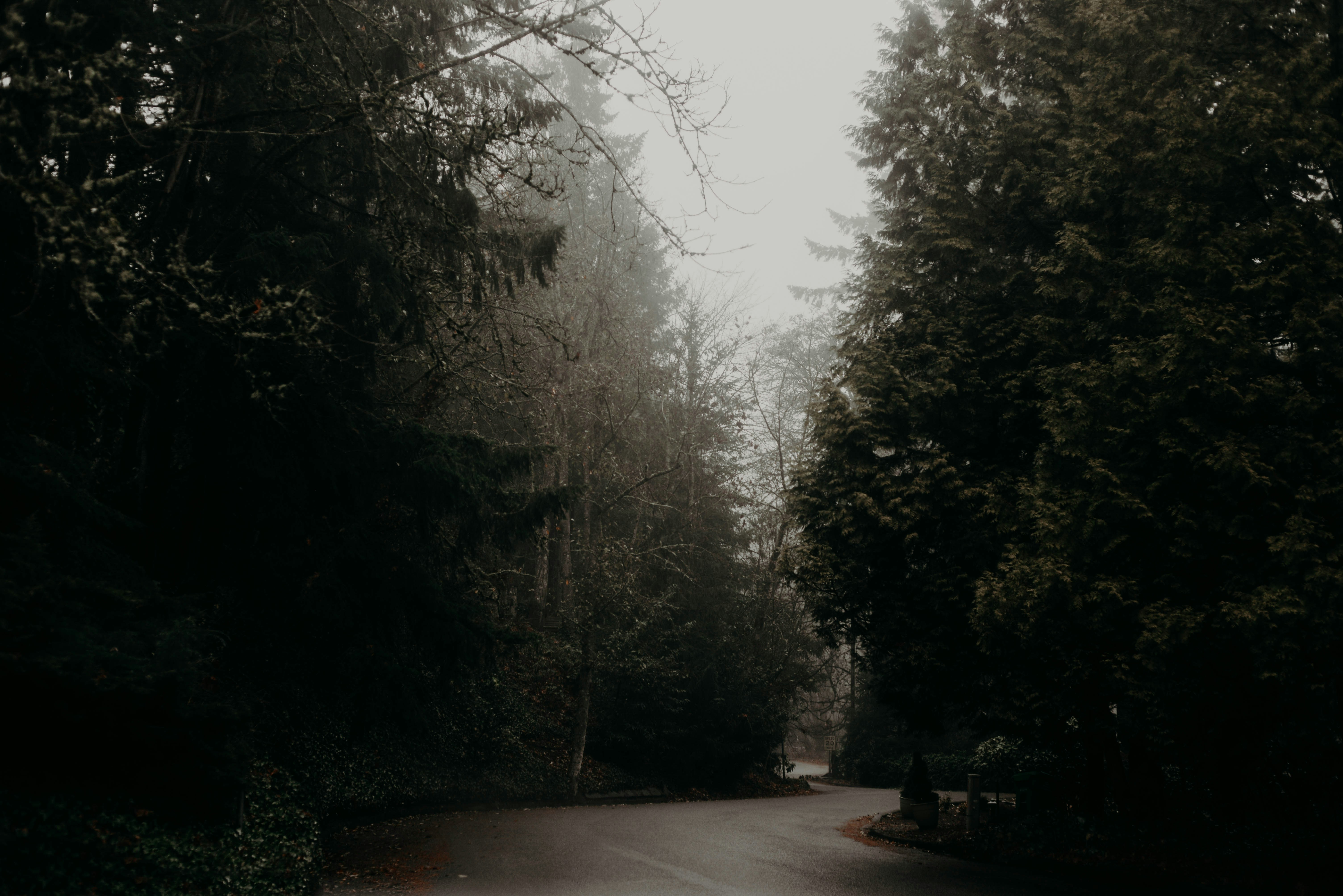 Photo by lorencutler