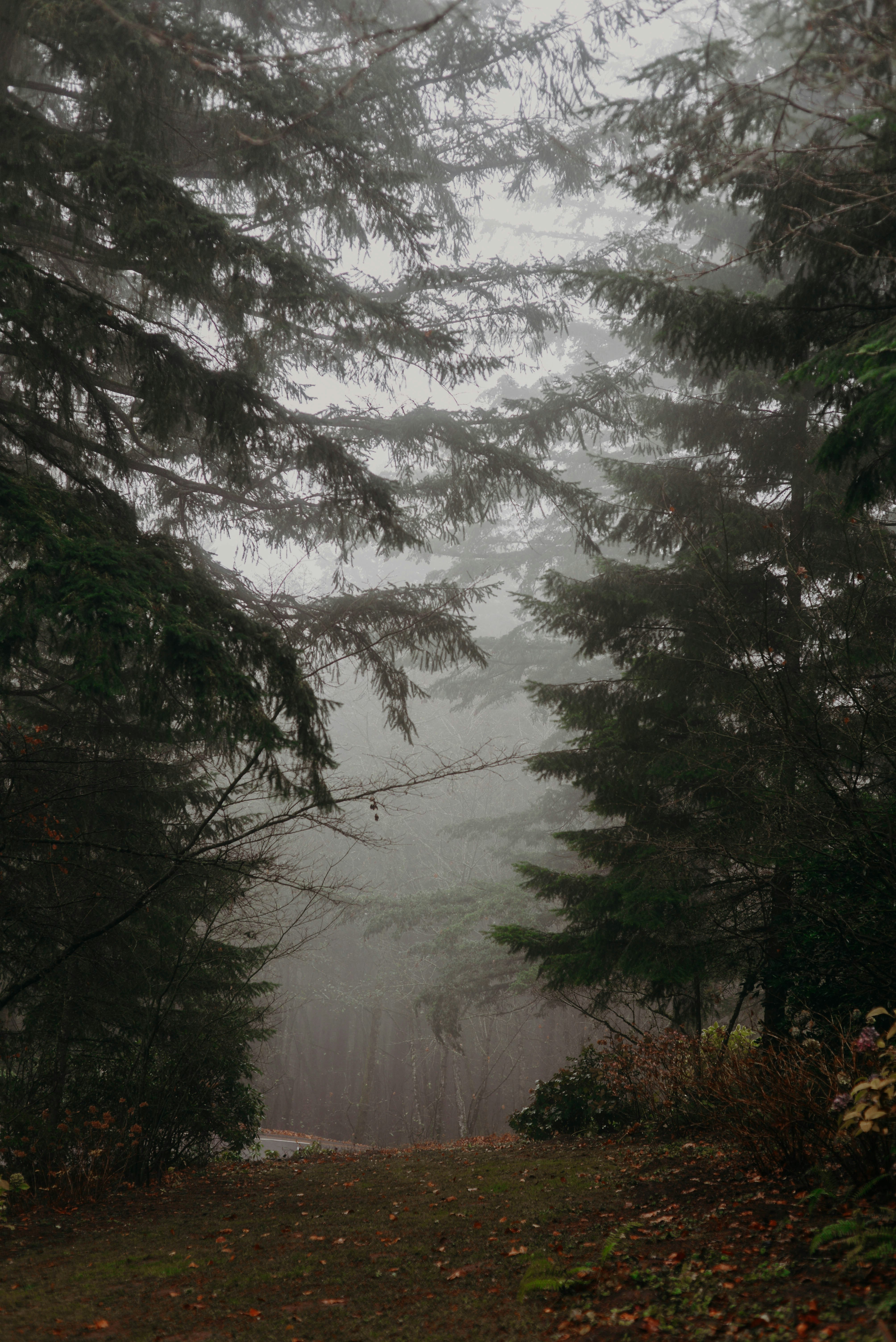 Photo by lorencutler