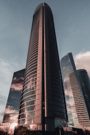 brown and black high rise building