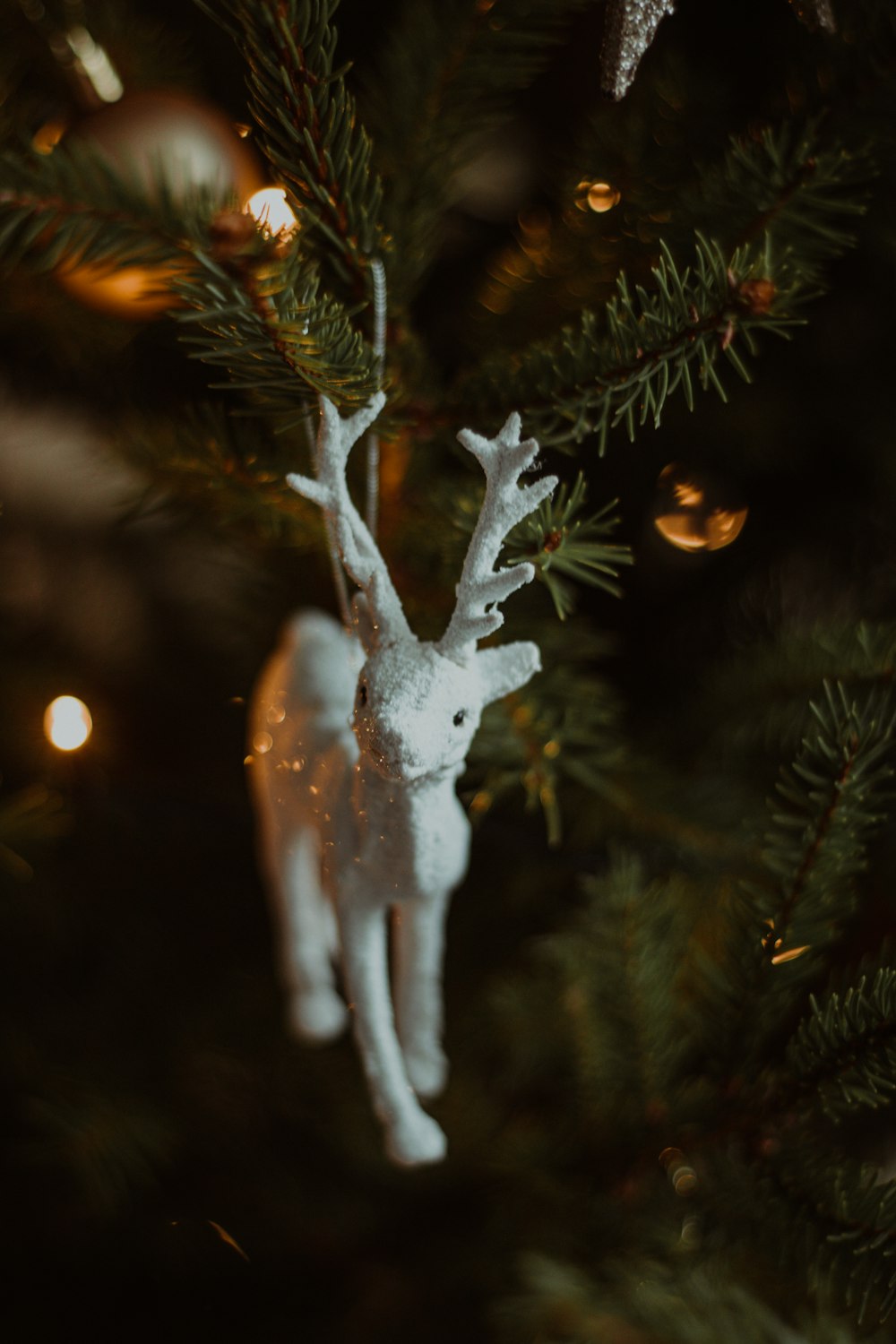 white bird flying over green christmas tree