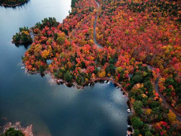 Aerial view of autumn fall foliage colours over trees and a river in northern Canada