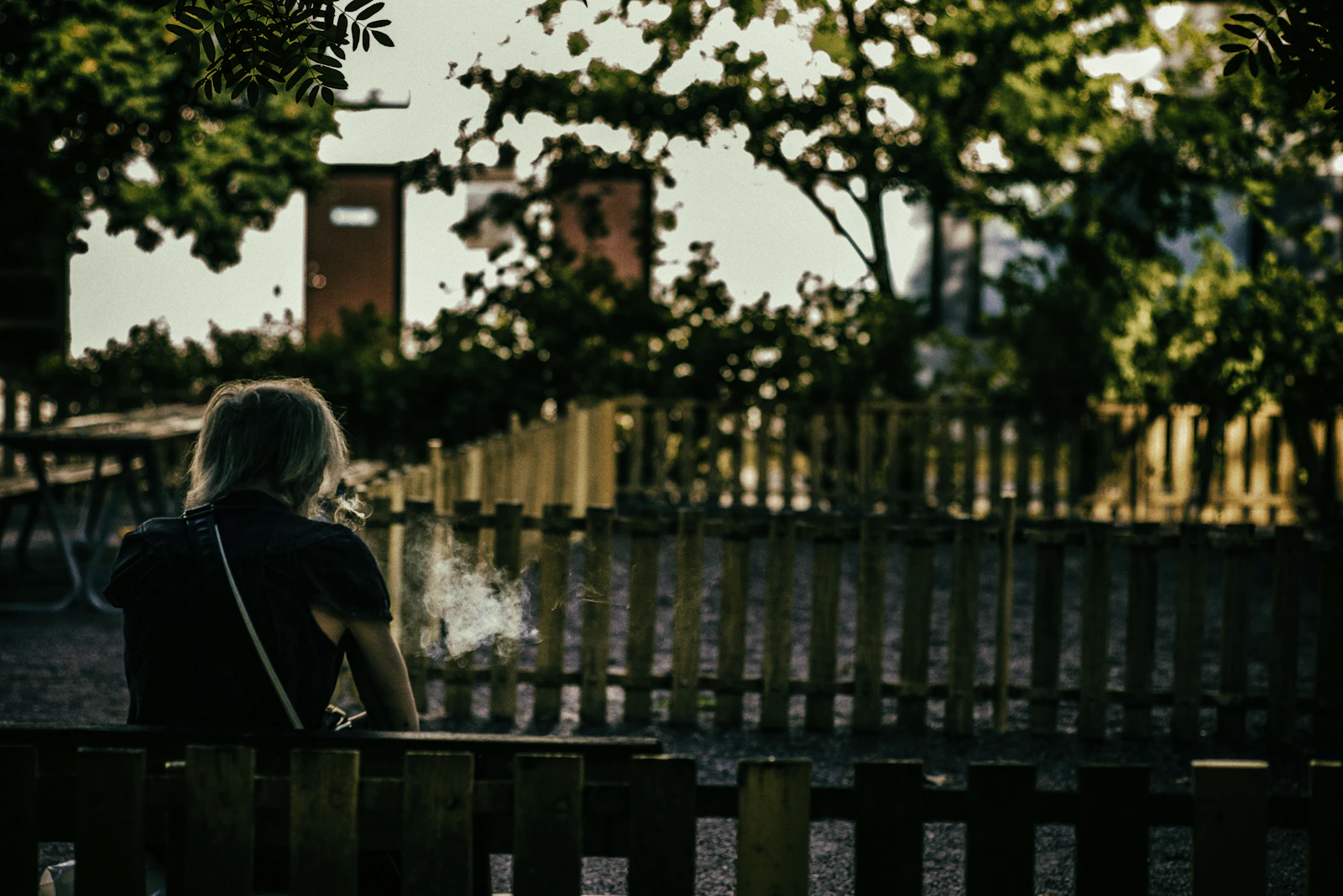Photo · Magnus Lunay / Unsplash
