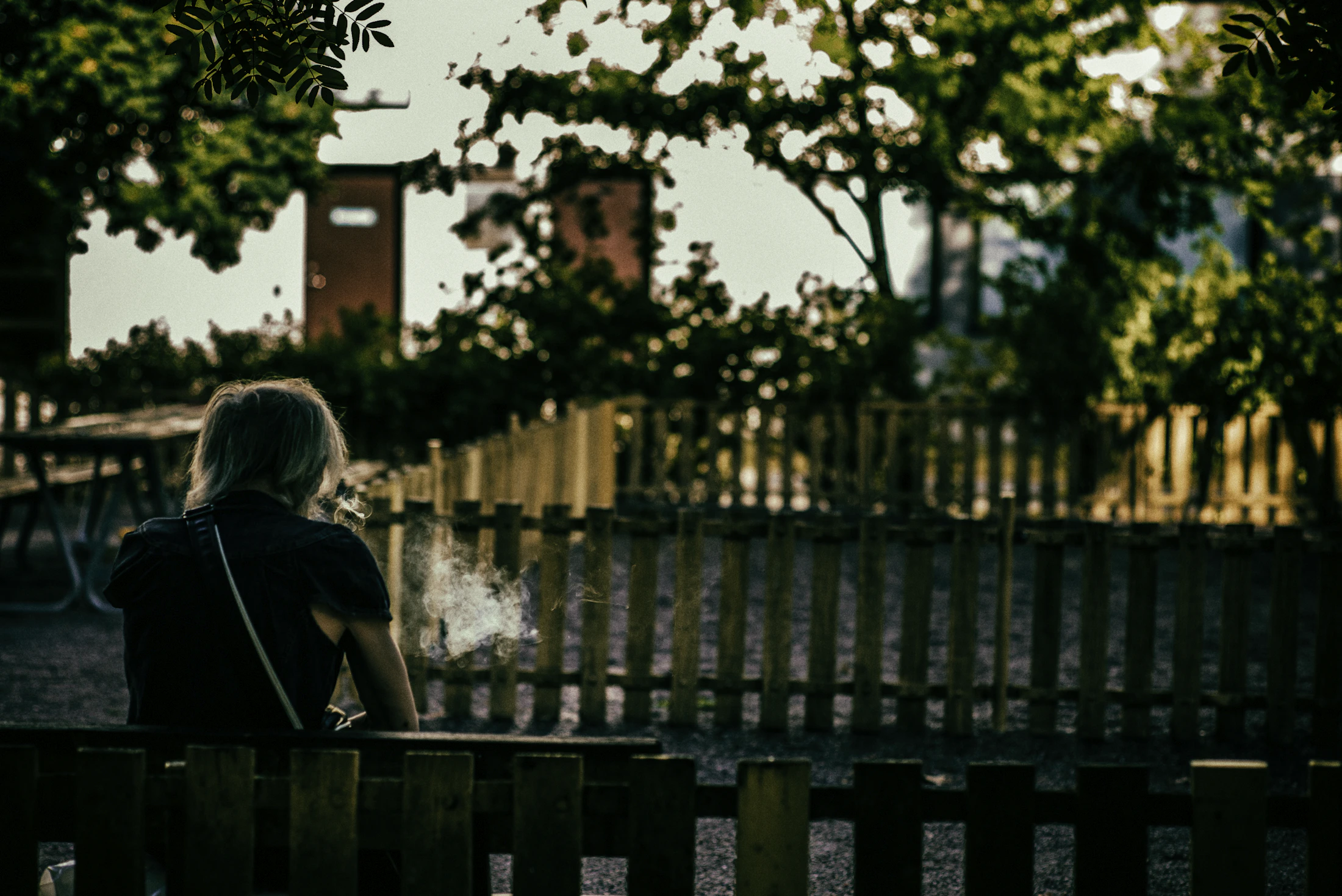 Photo · Magnus Lunay / Unsplash