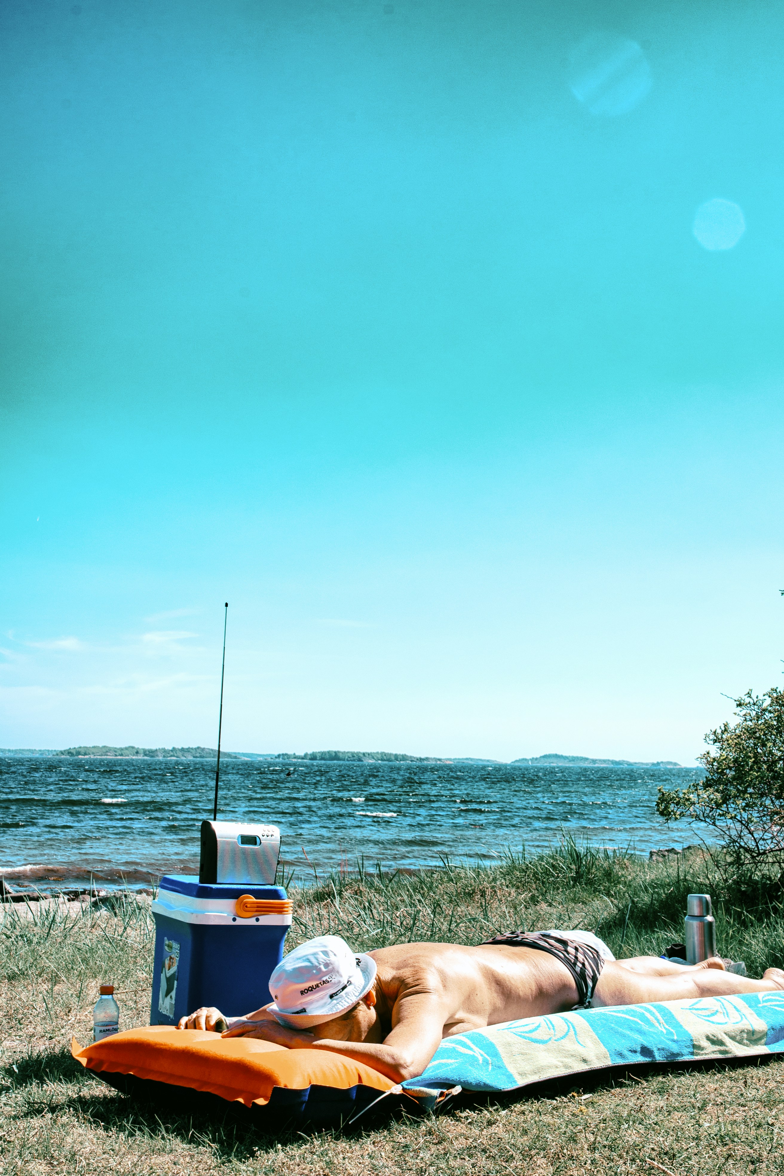 weißer und blauer Plastikbehälter neben braunem Pferd tagsüber