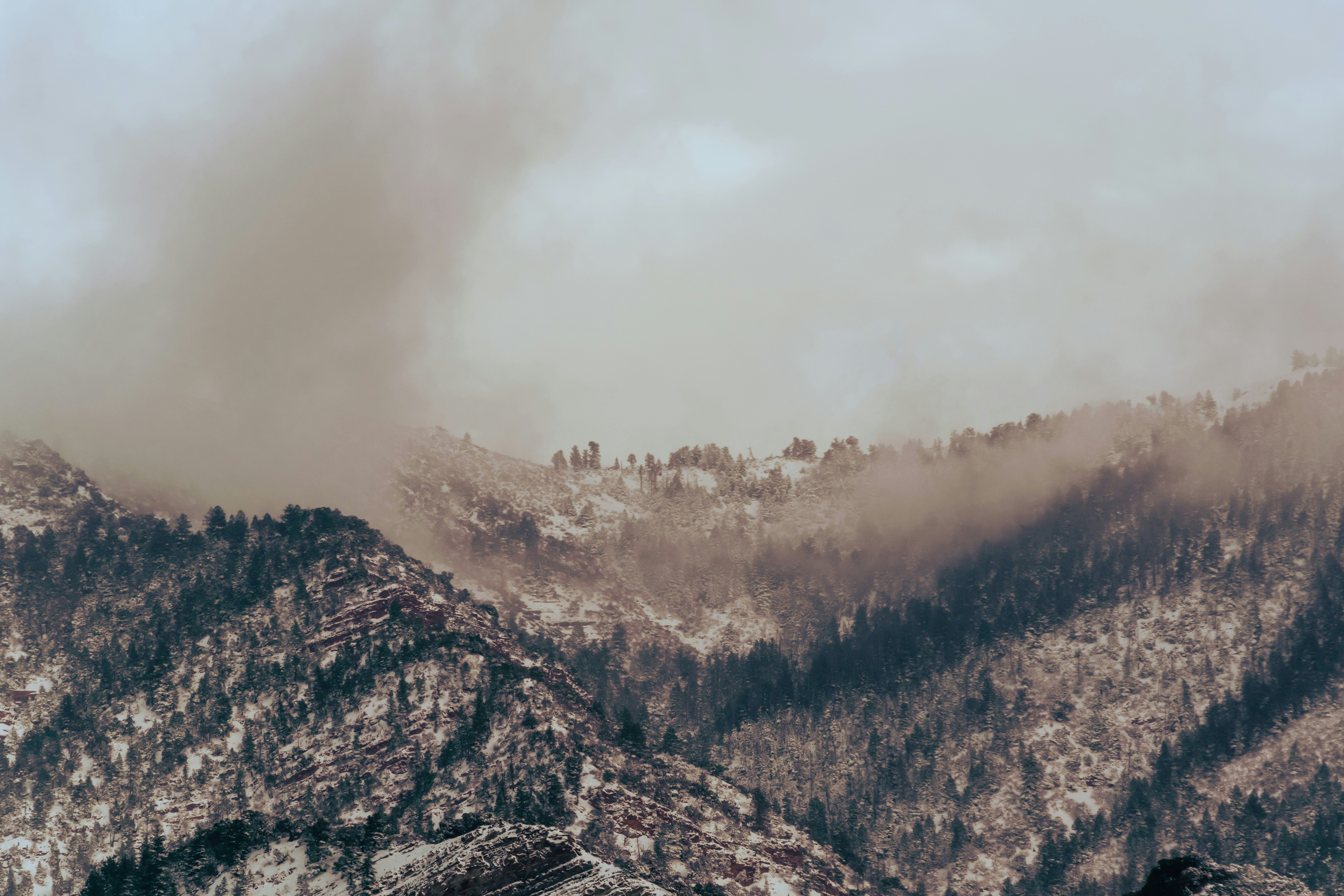 Photo by framesforyourheart