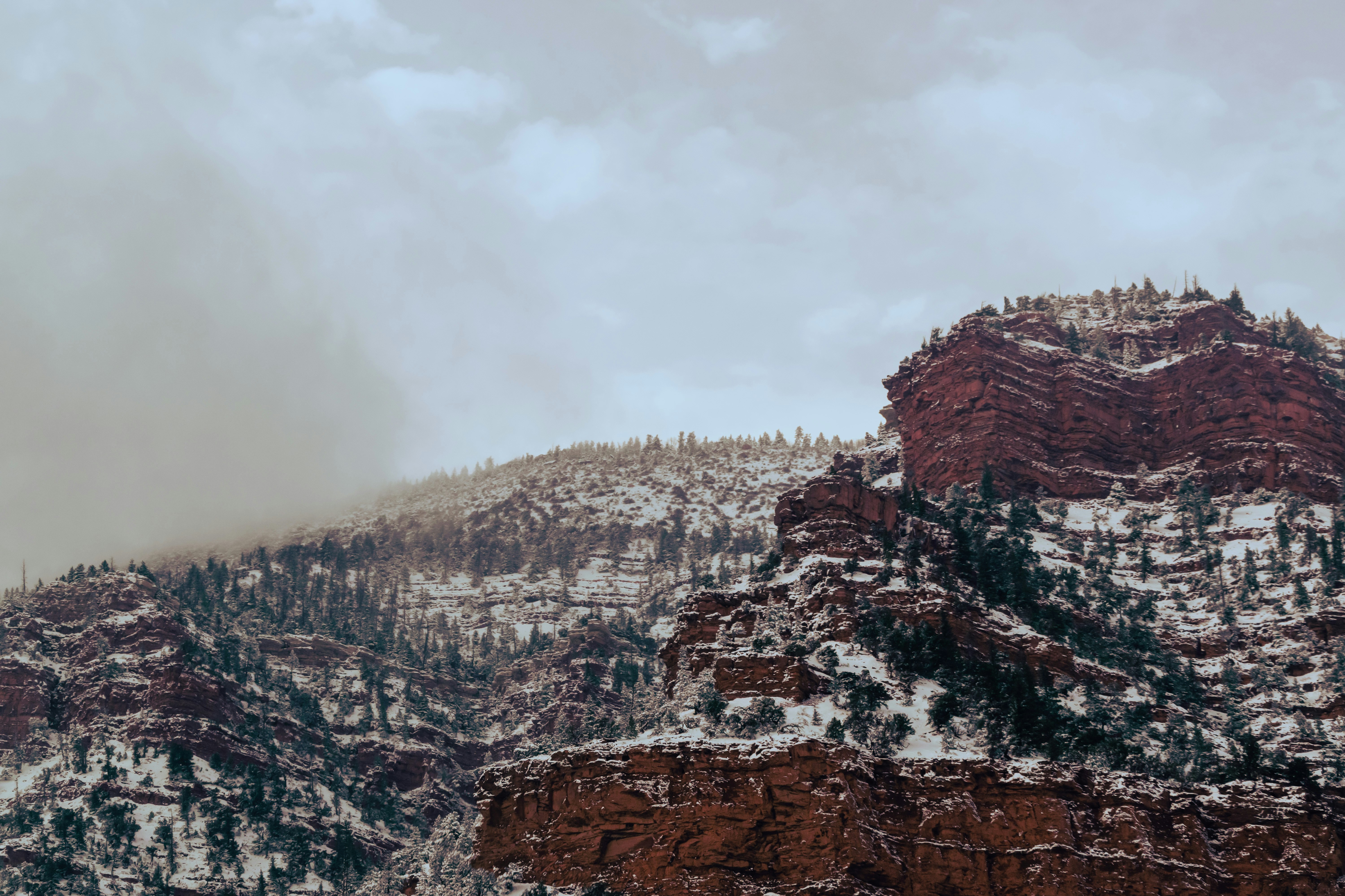 Photo by framesforyourheart