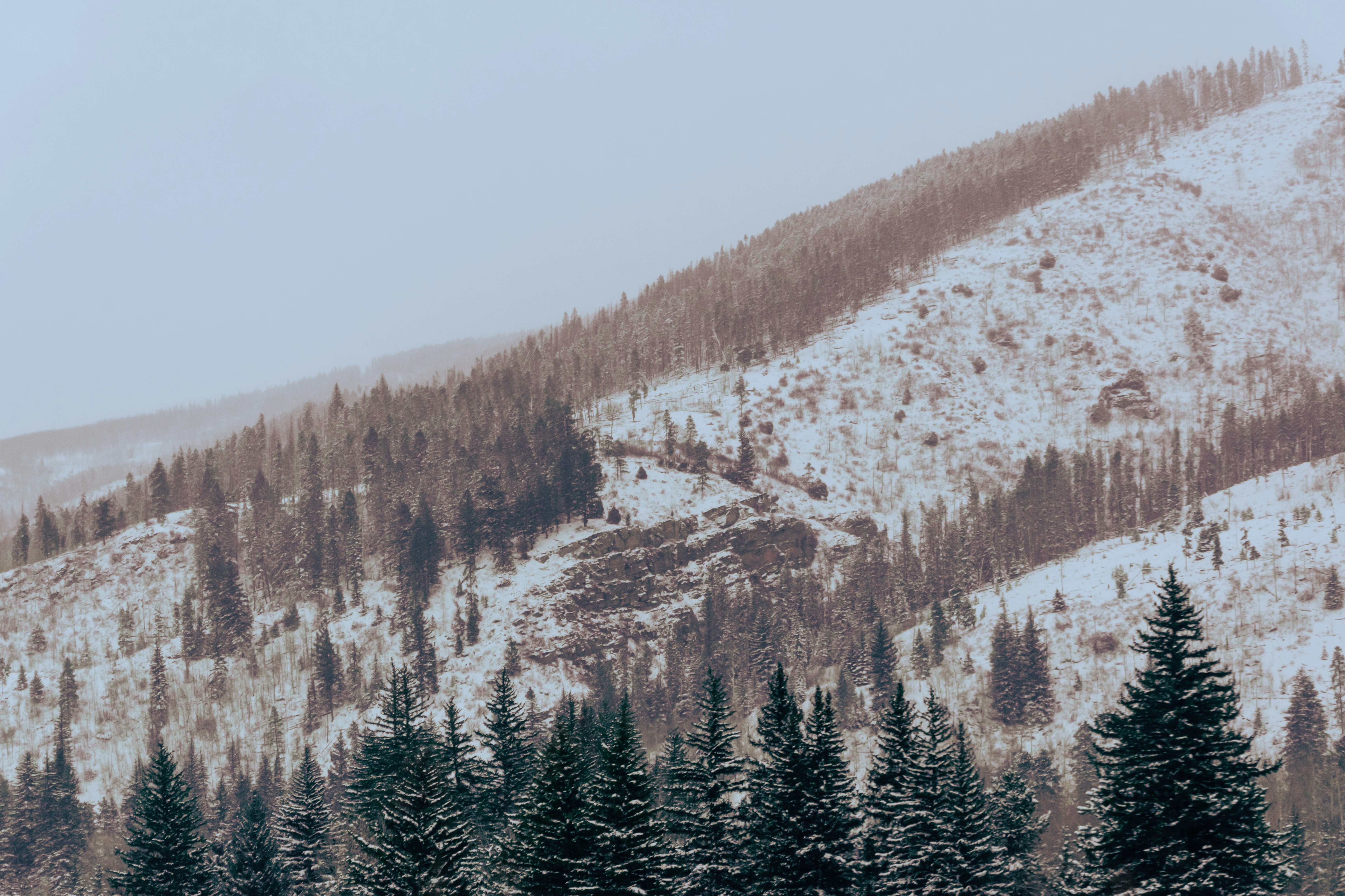 Photo by framesforyourheart