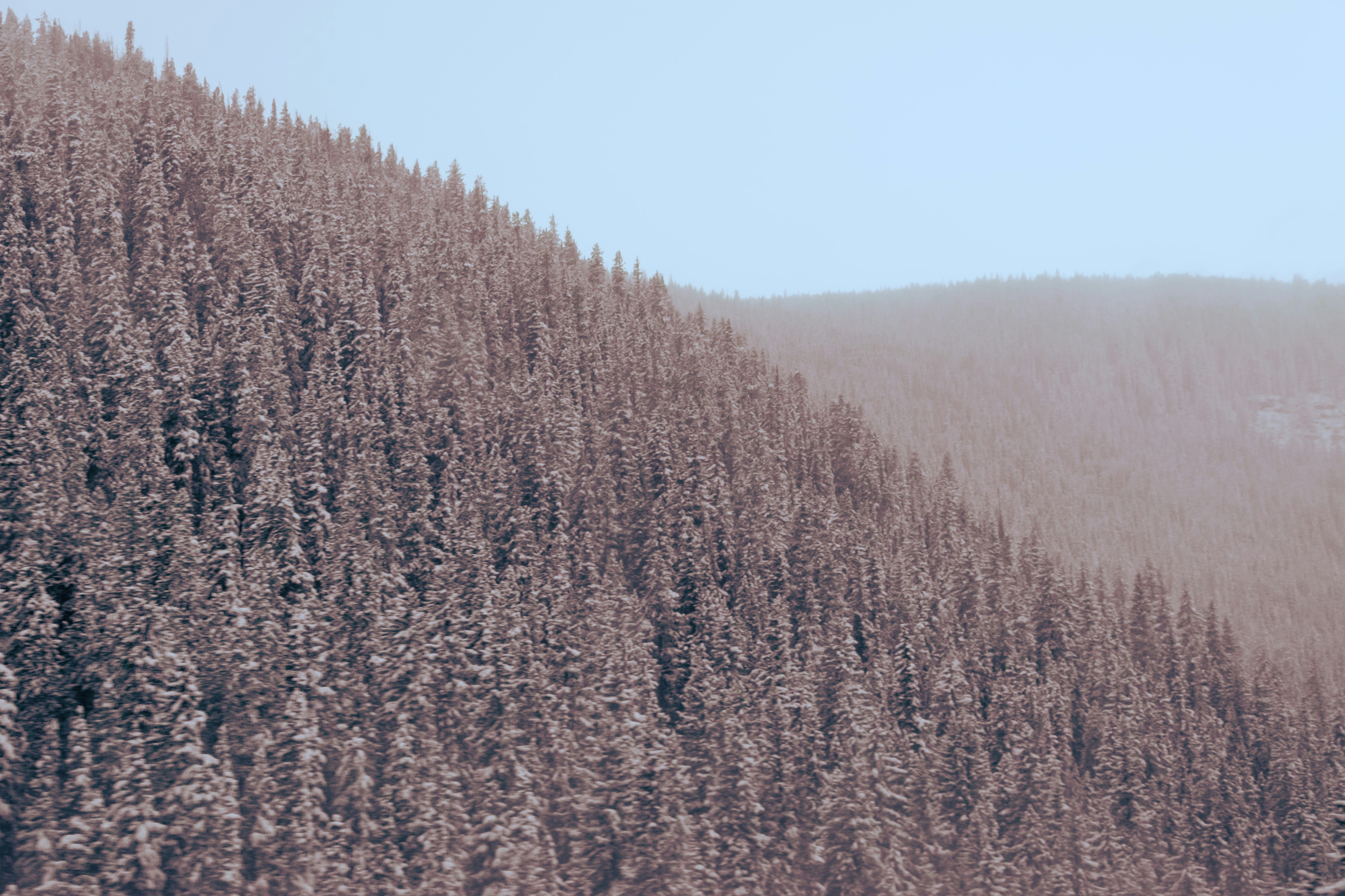 Photo by framesforyourheart