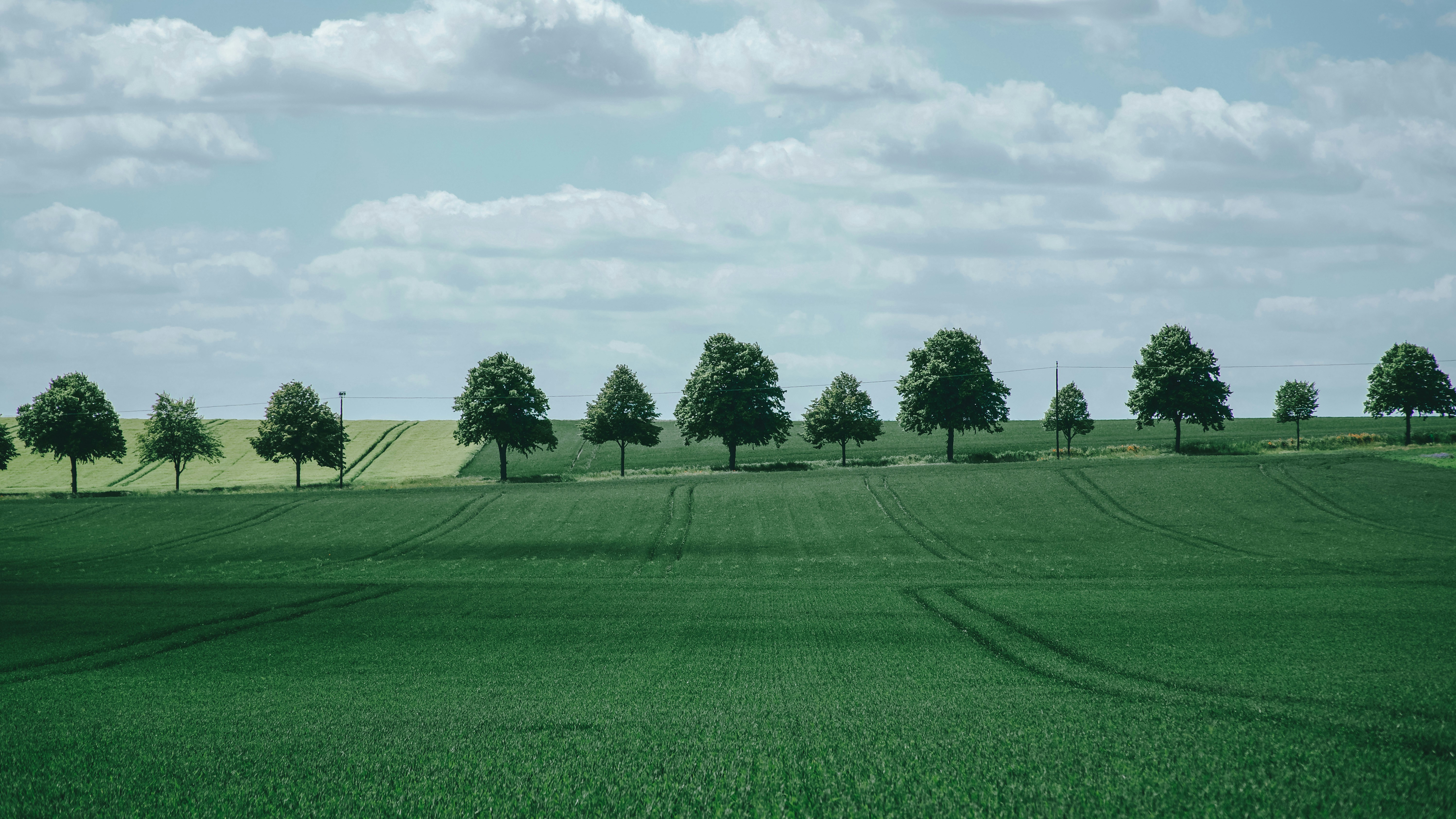 Photo by zhengyaosheng