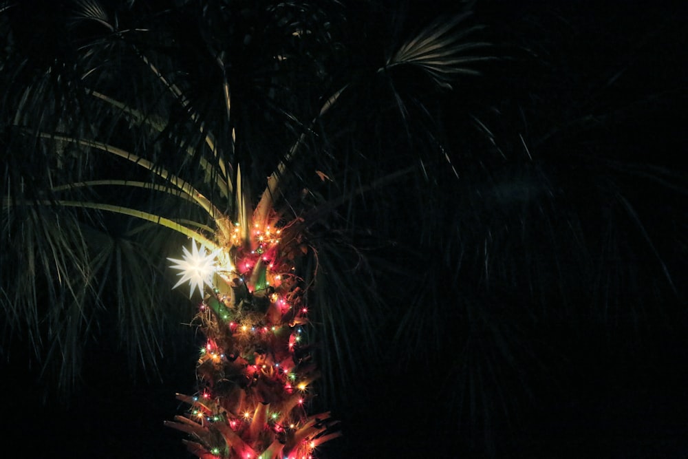 green and red fireworks during nighttime