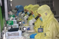 A team of professionals conducting microbiological tests.