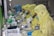 Several people in yellow protective suits and masks are working in a laboratory setting, each focused on looking through microscopes. The environment appears clean and organized, with multiple scientific tools and equipment on the desks.
