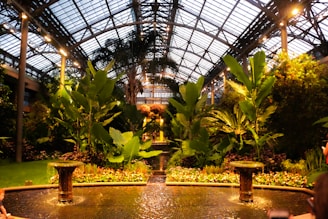 Inside a large greenhouse with a glass ceiling and metal framework, the space is filled with lush greenery, including tall plants with broad leaves, tropical trees, and a variety of flowers. A water feature with small fountains and a reflective pool runs through the center, adding to the serene atmosphere.