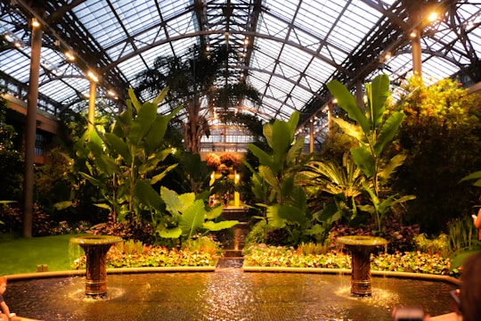 Inside a large greenhouse with a glass ceiling and metal framework, the space is filled with lush greenery, including tall plants with broad leaves, tropical trees, and a variety of flowers. A water feature with small fountains and a reflective pool runs through the center, adding to the serene atmosphere.