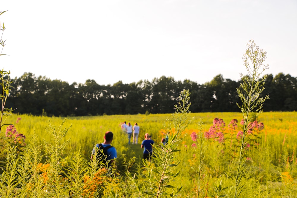 people on green grass field during daytime