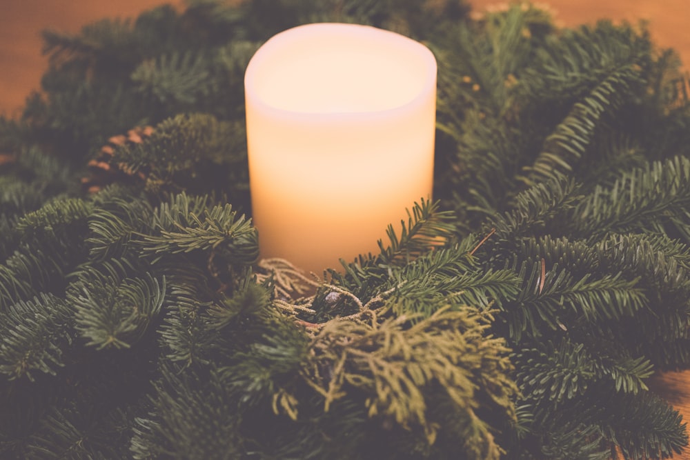 white pillar candle on green pine tree