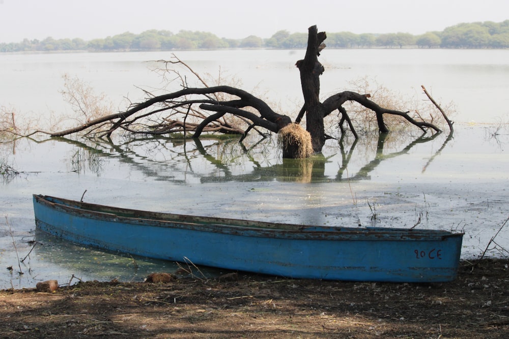 blue and white boat on shore during daytime