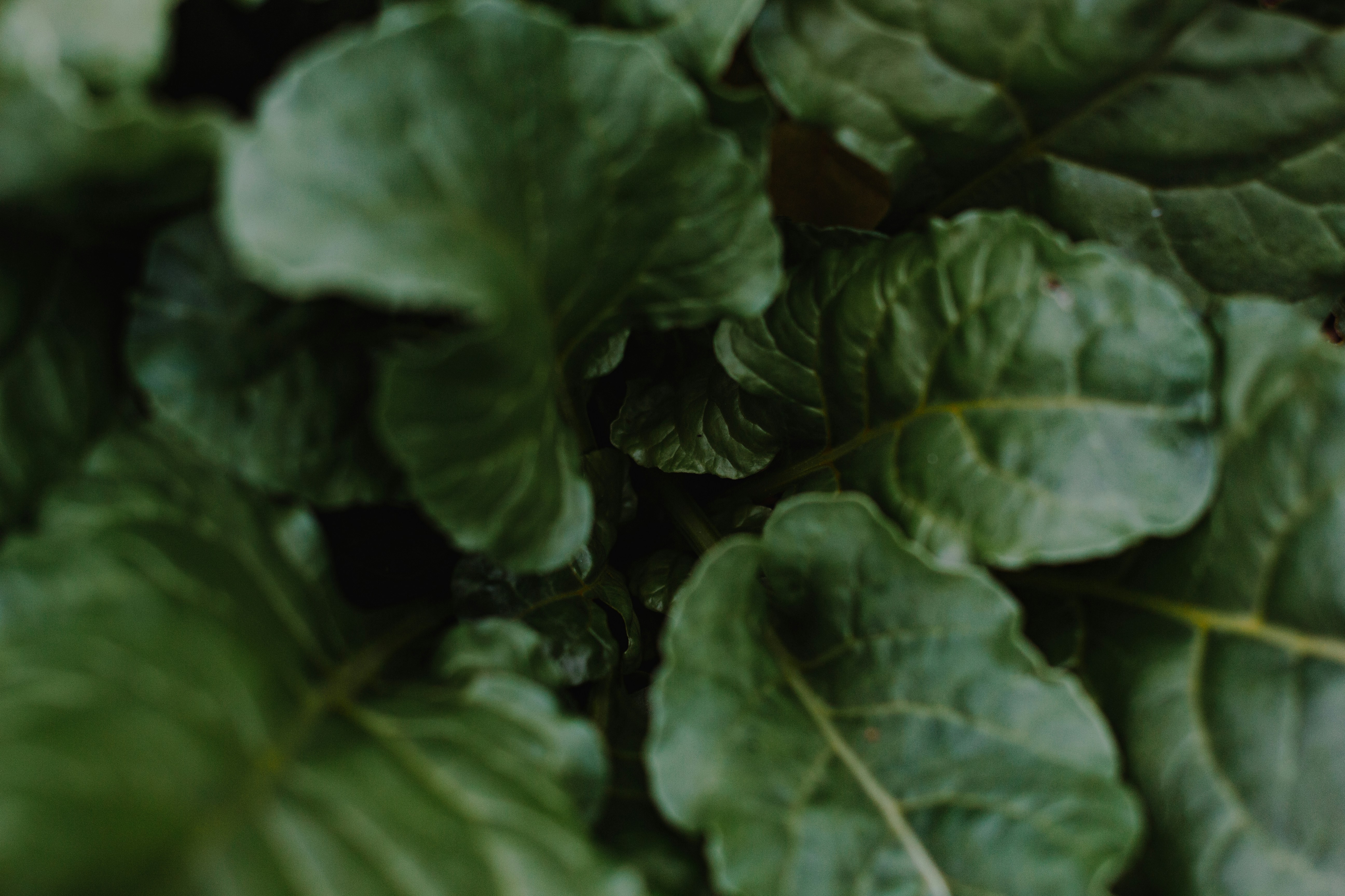 Photo by sincerelymedia