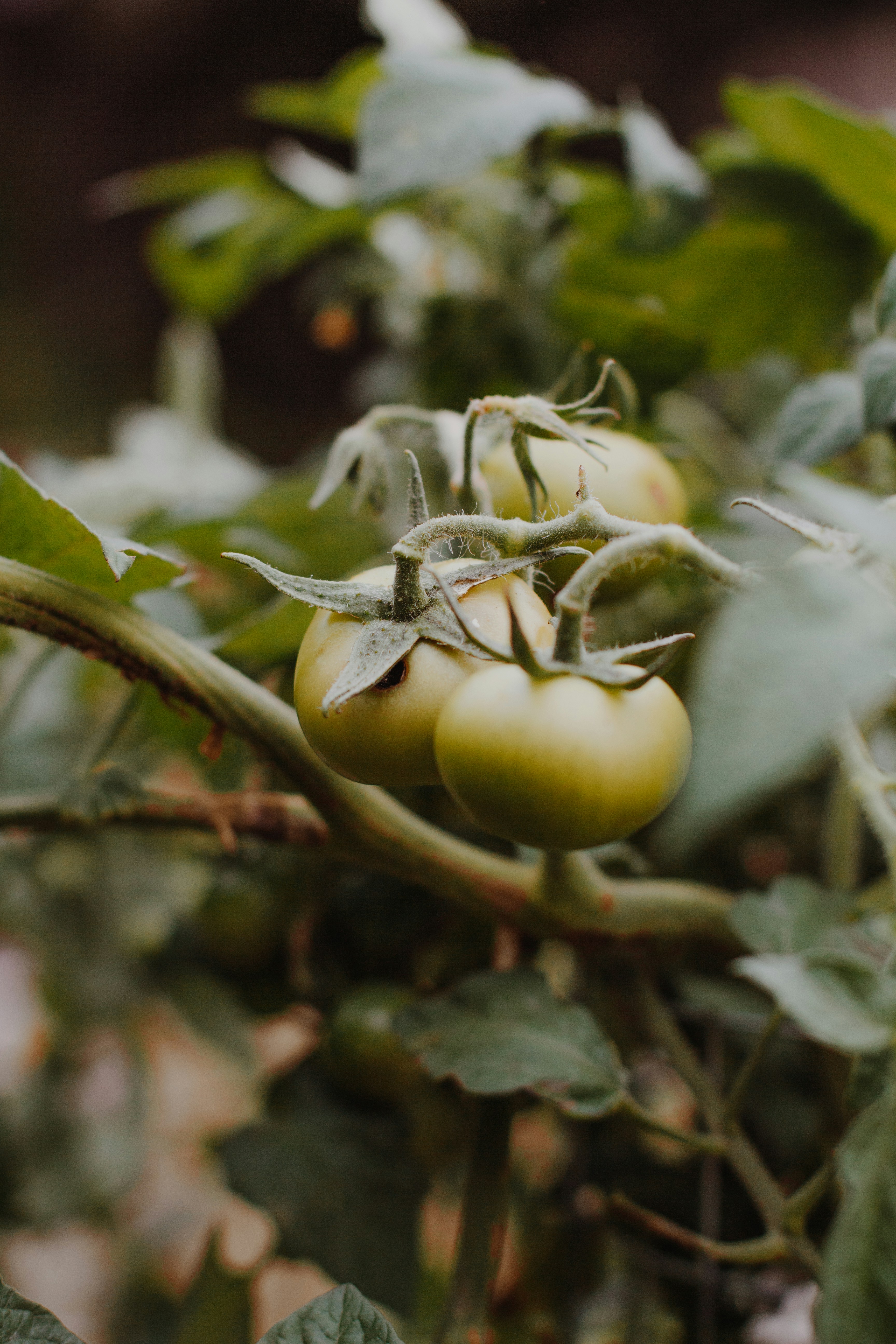 Photo by sincerelymedia