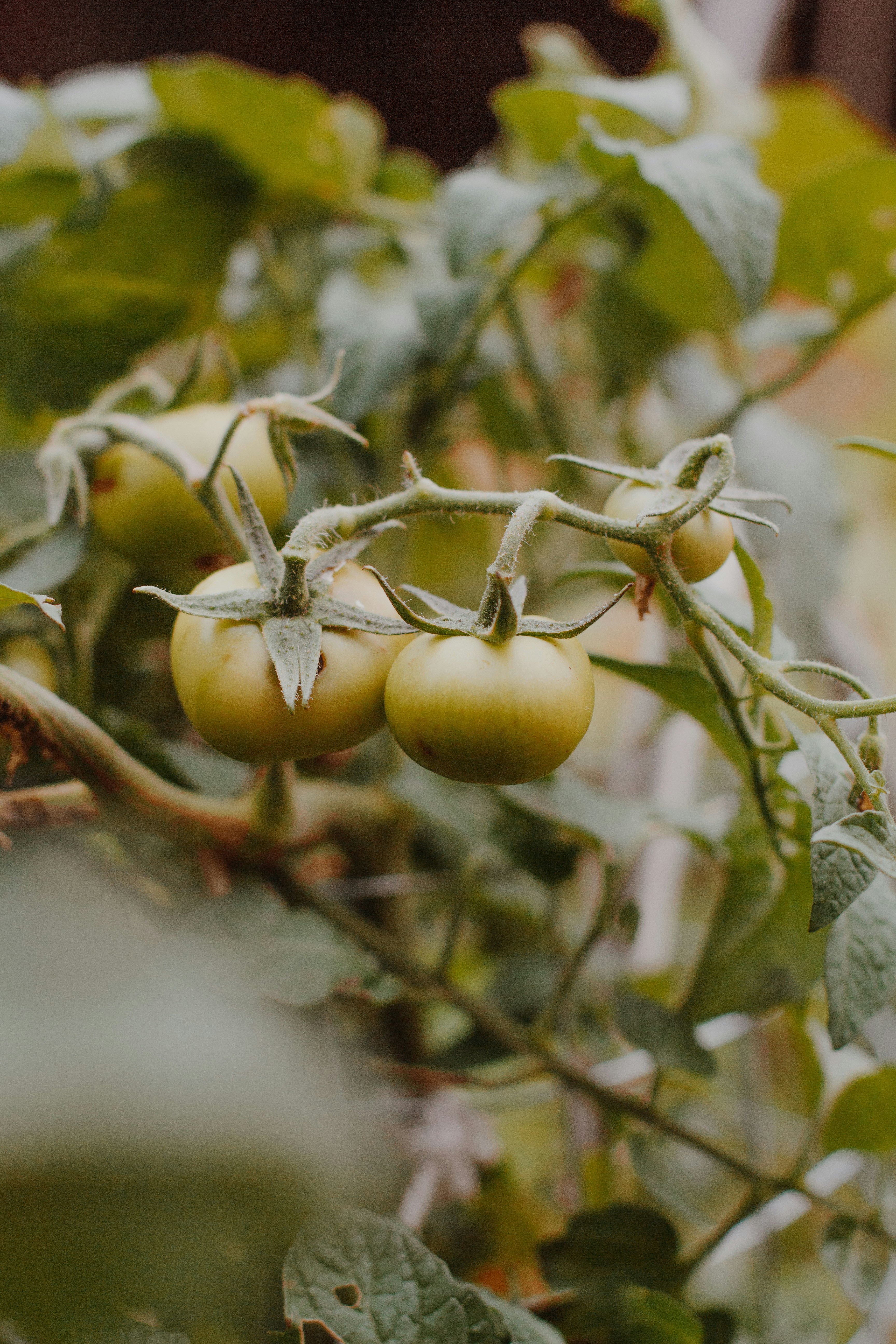 Photo by sincerelymedia