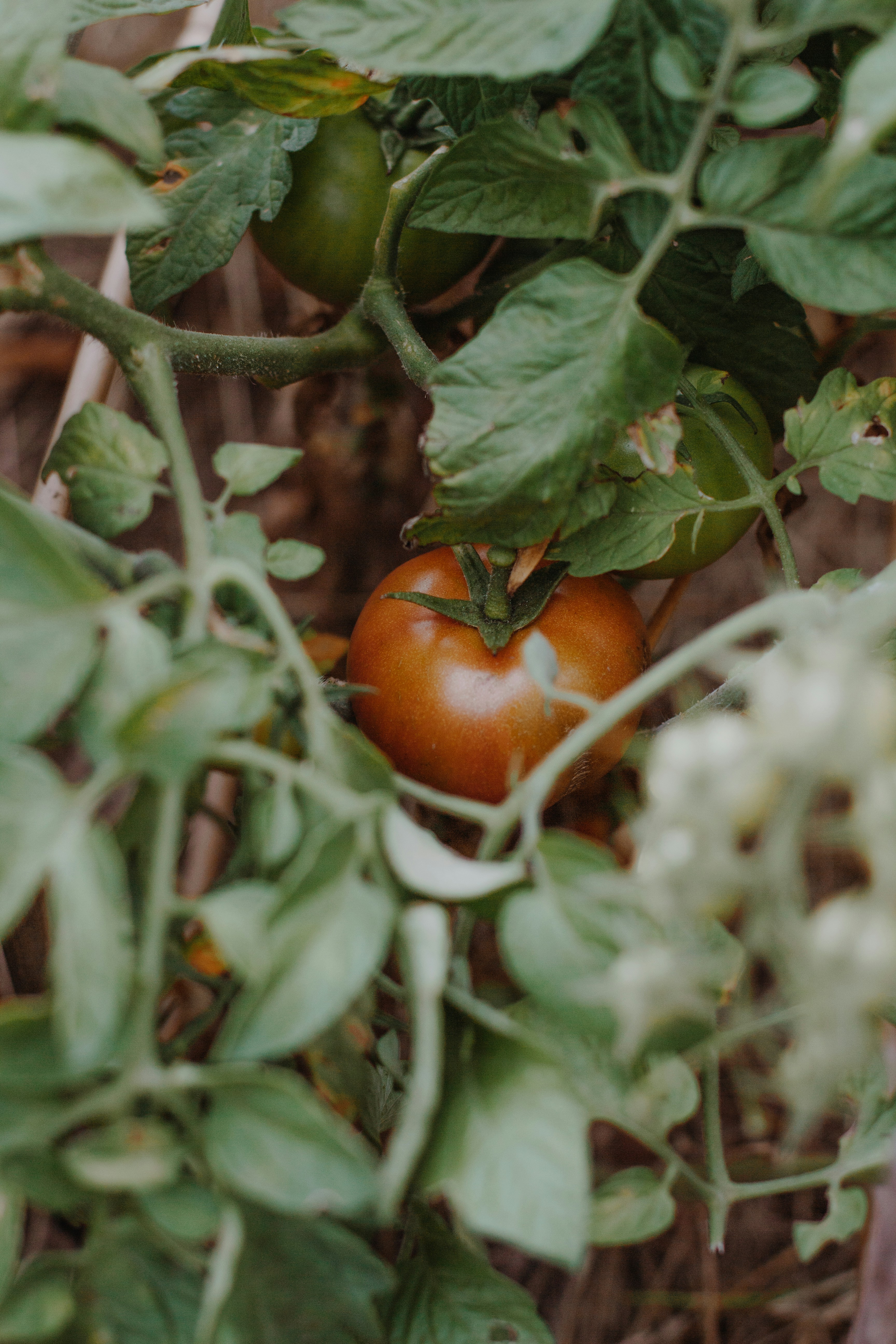 Photo by sincerelymedia